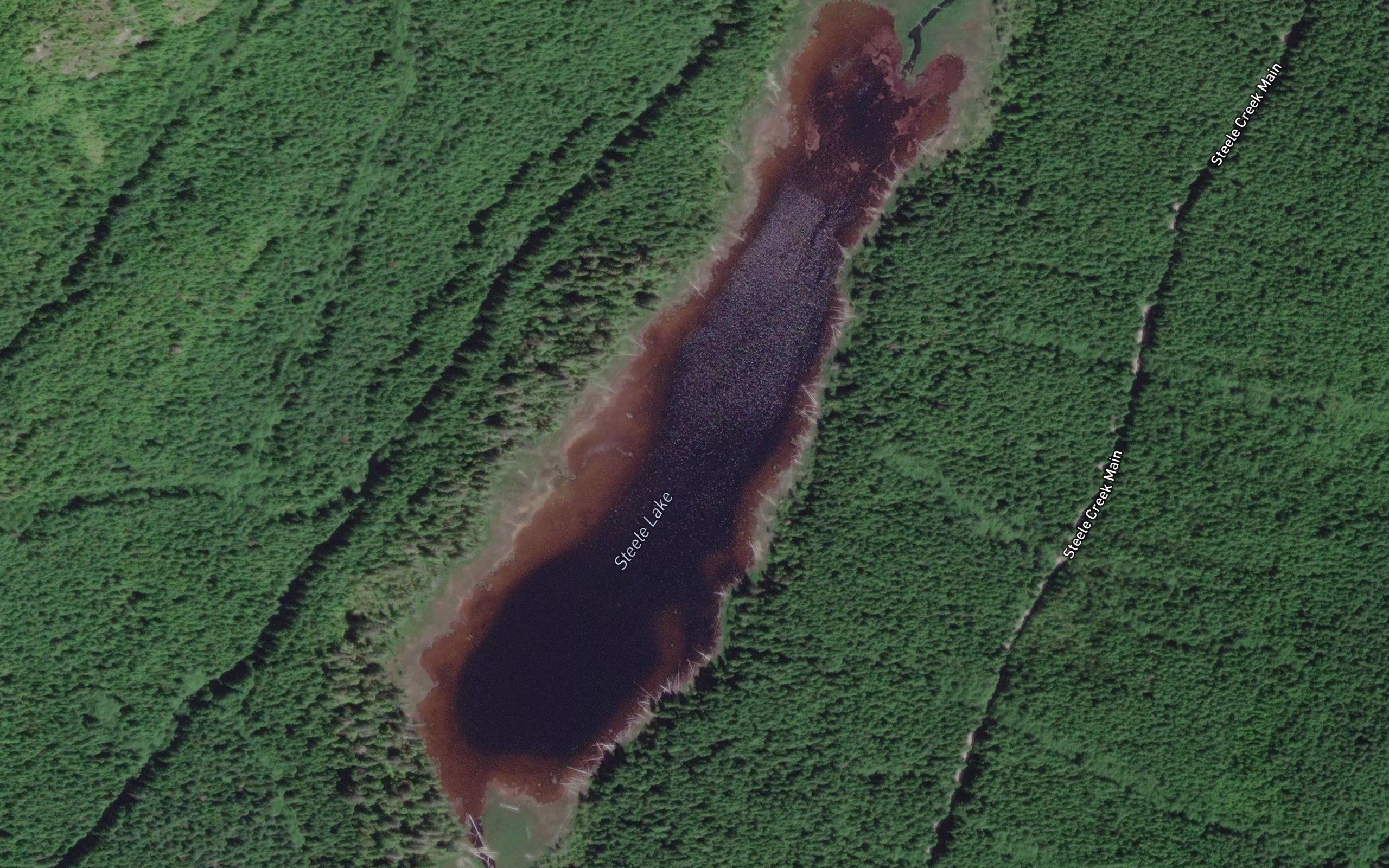 Steele Lake