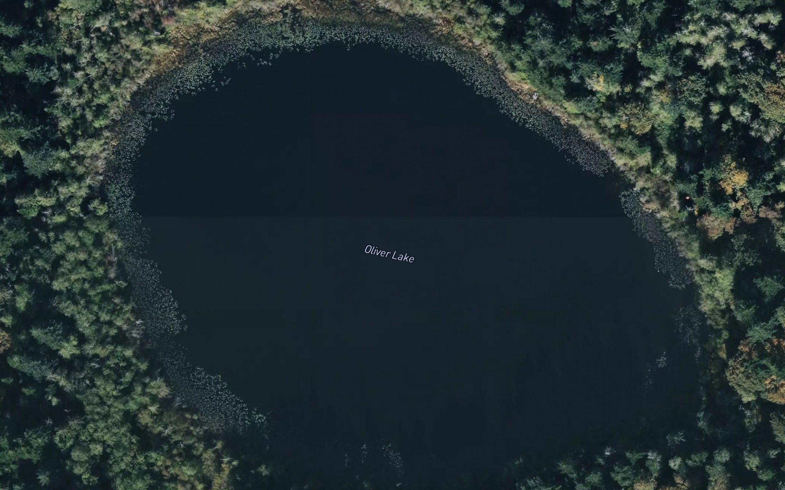 Oliver Lake