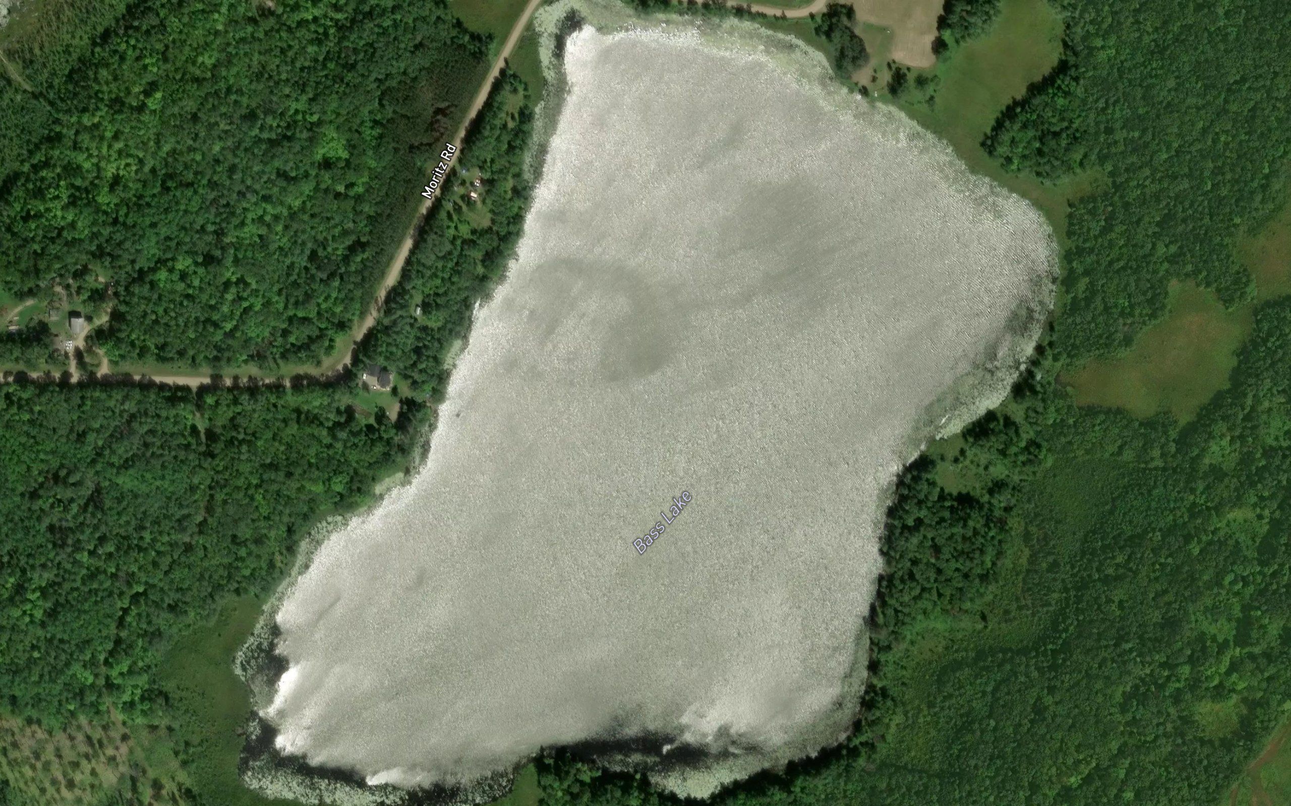 Bass Lake