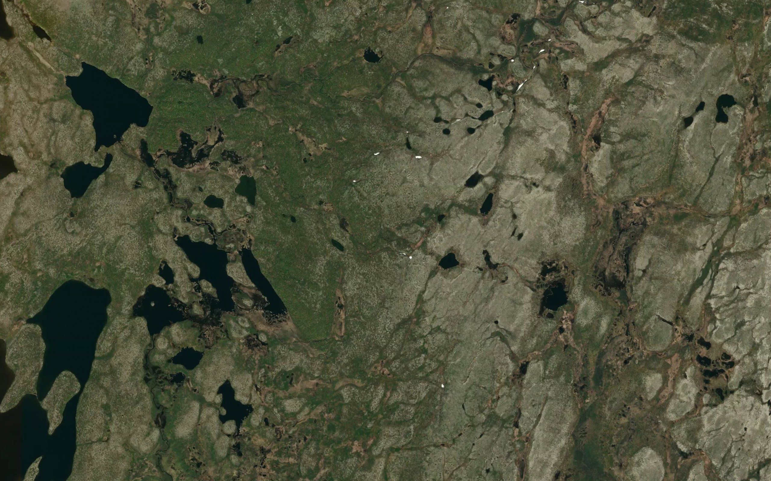Gardejakka