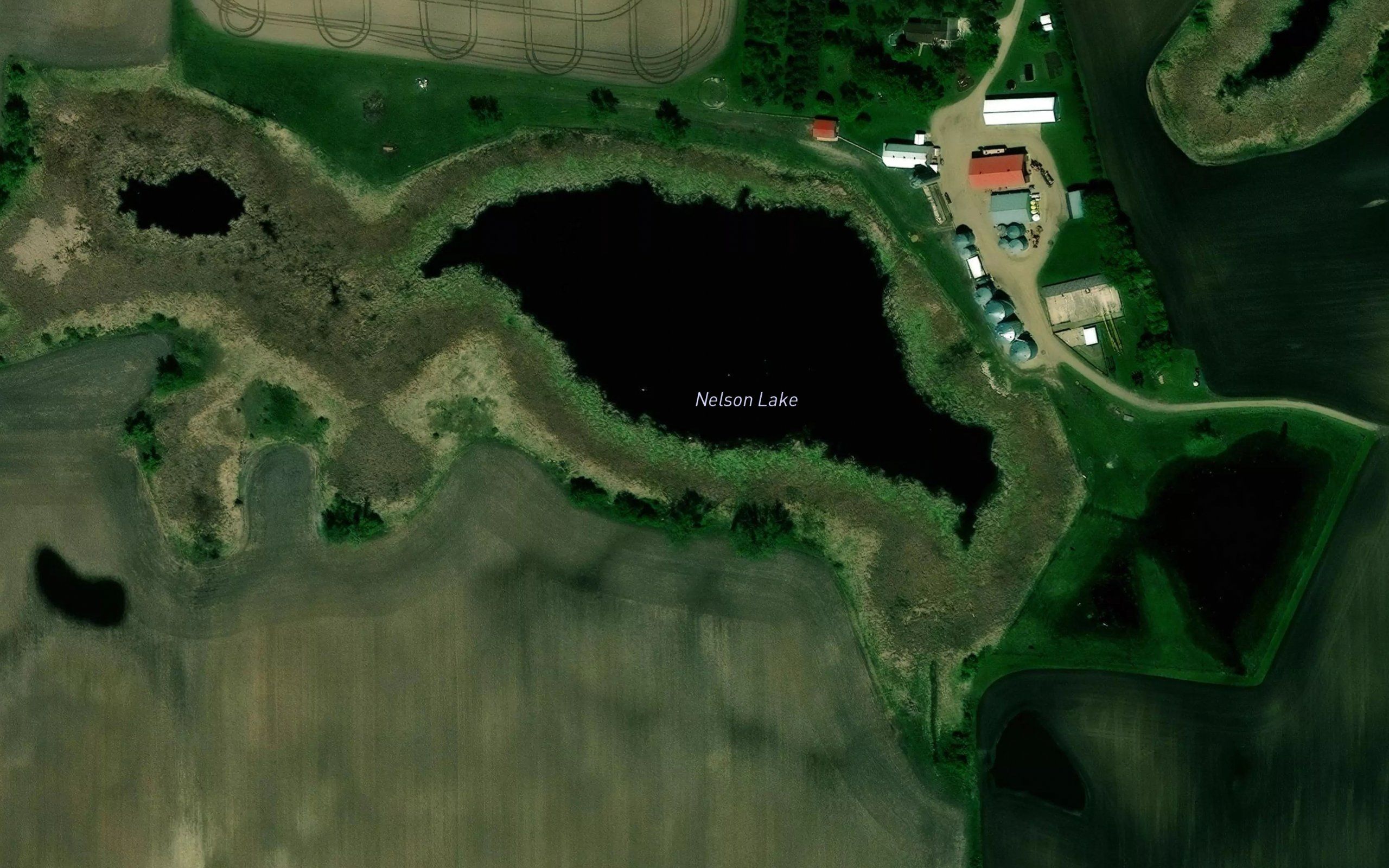 Nelson Lake