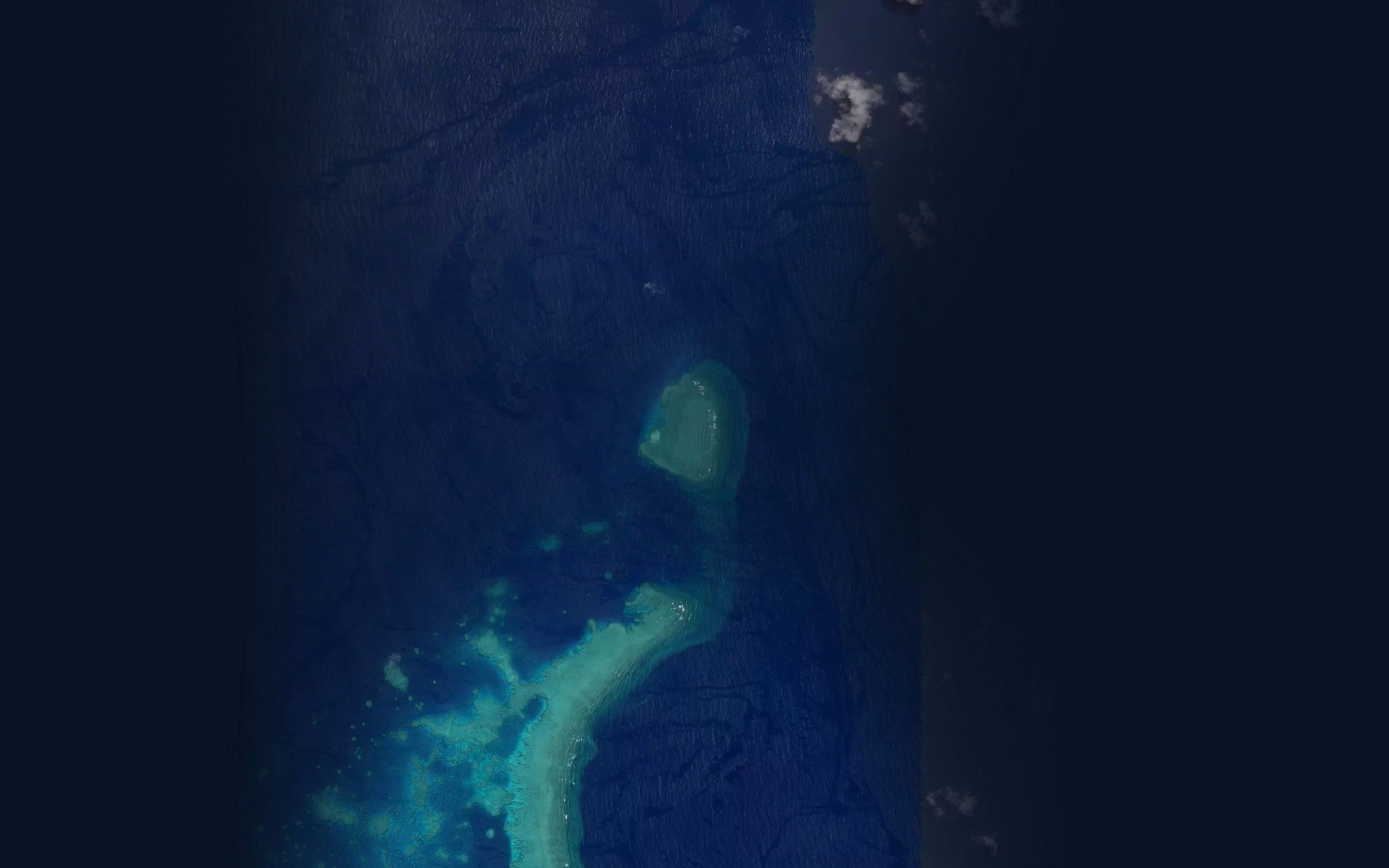 Pearl Reef