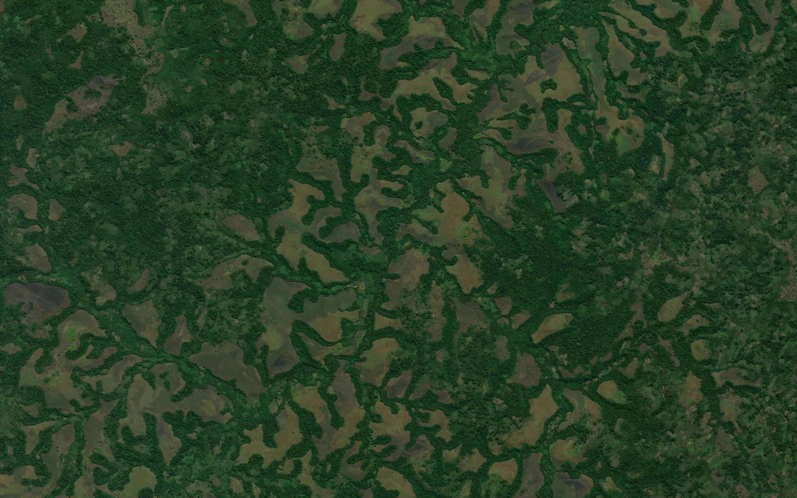 Lukula