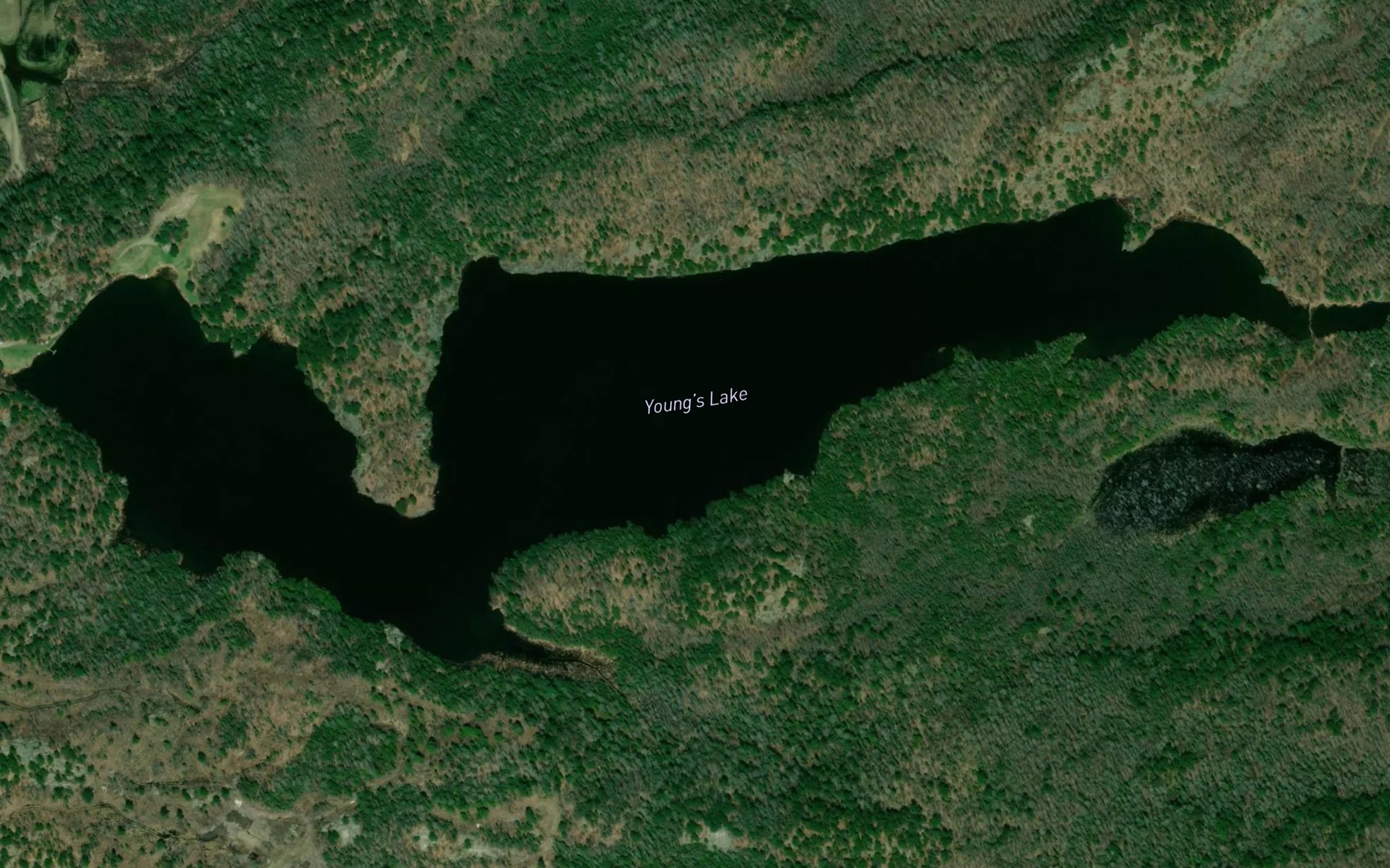 Satellite map of the Young's Lake