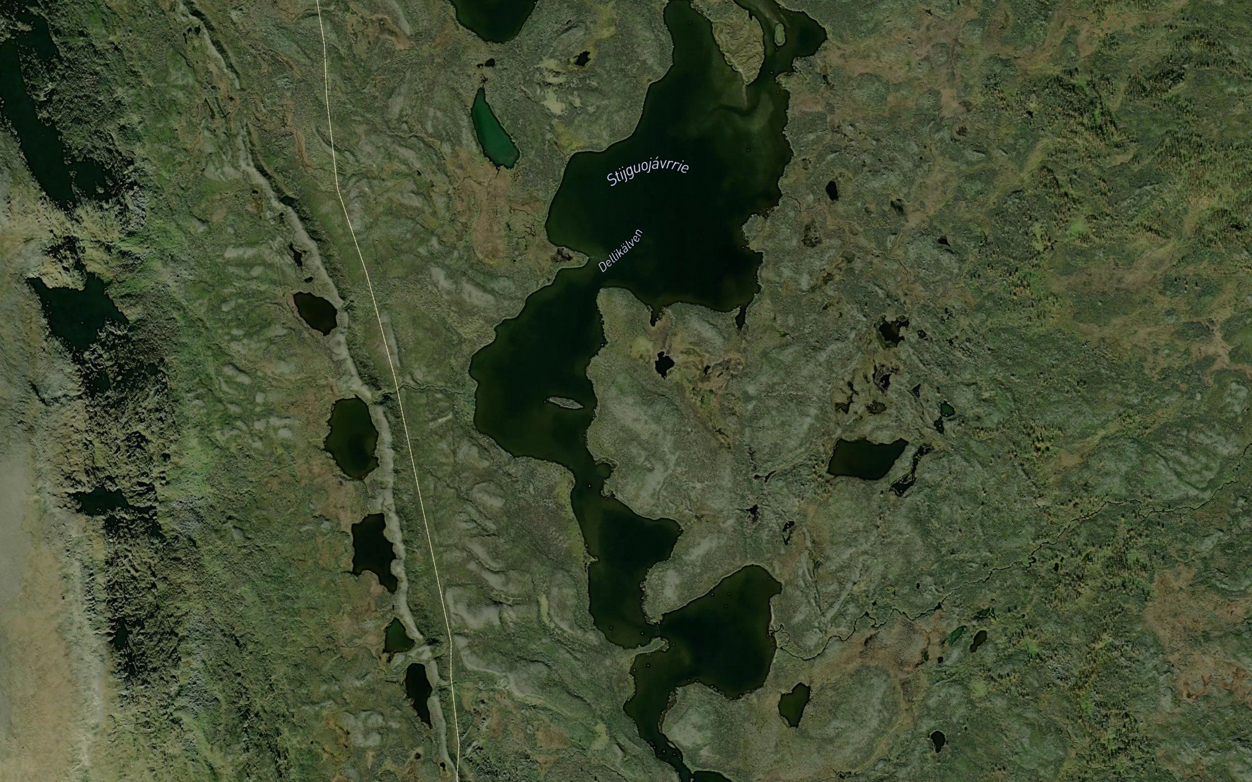 Seijejaure