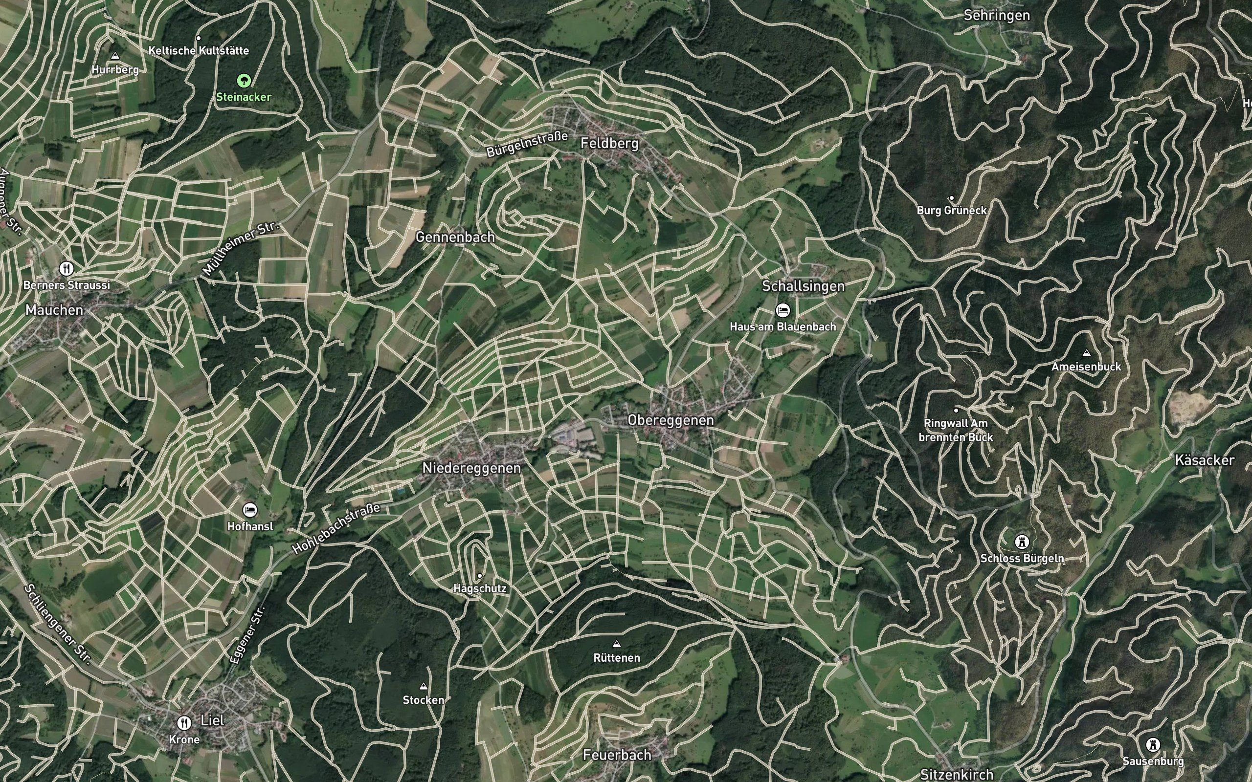 Berglebach