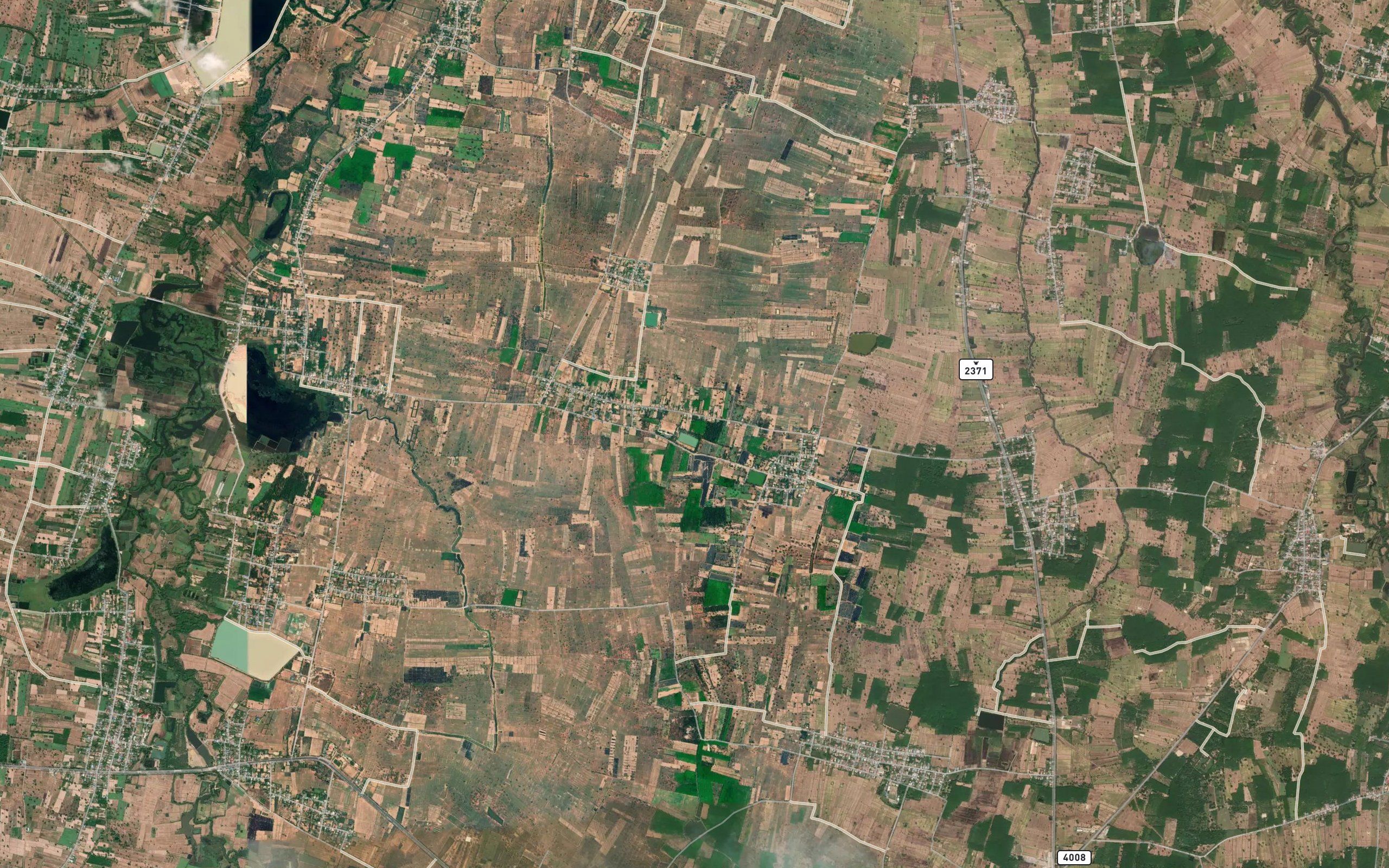 Nong Dom