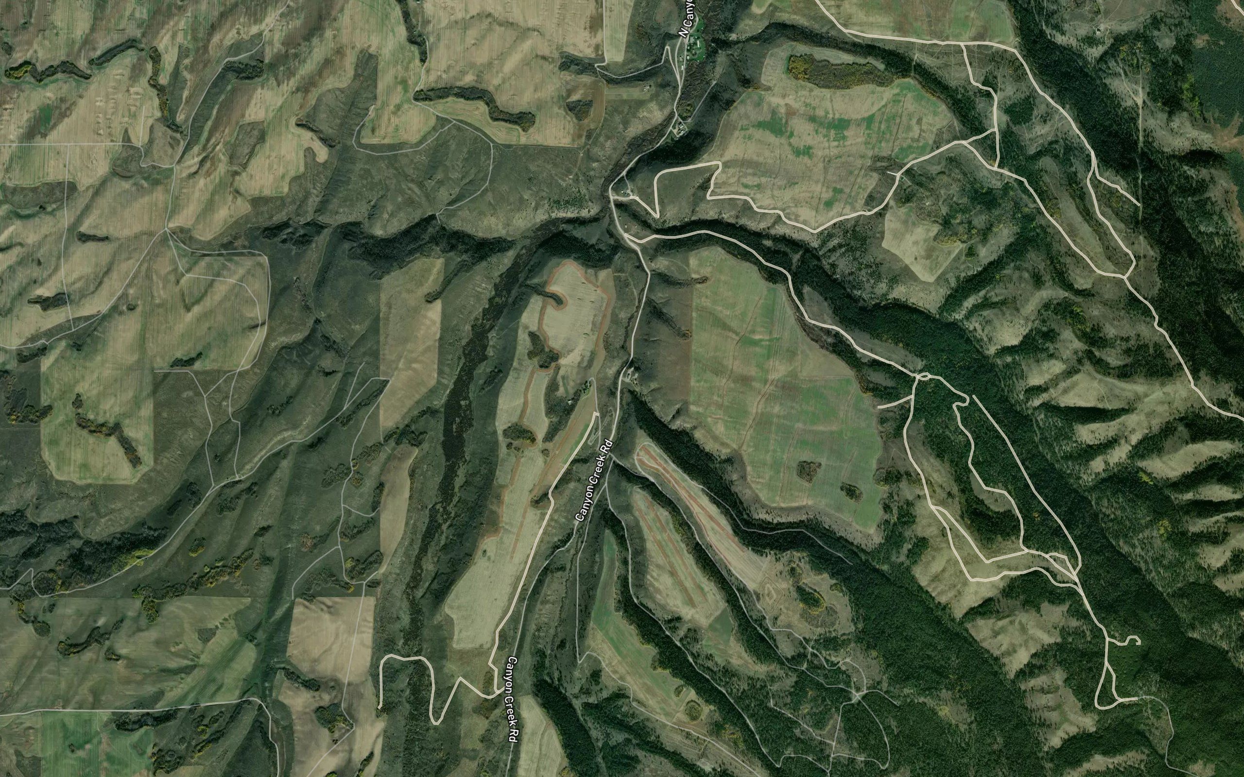Carlton Creek