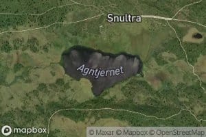 Agntjernet