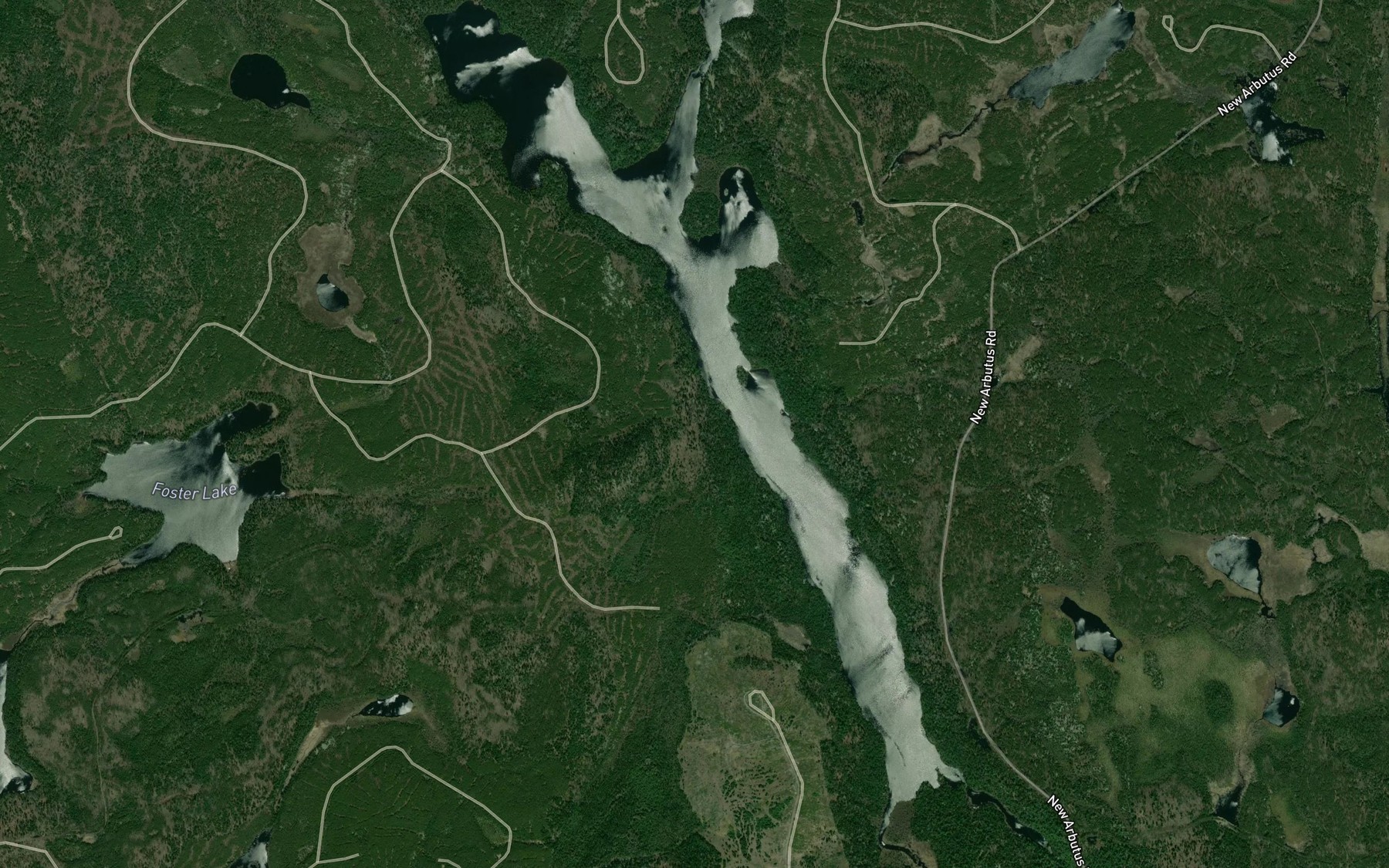 Satellite map of the Arbutus Lake
