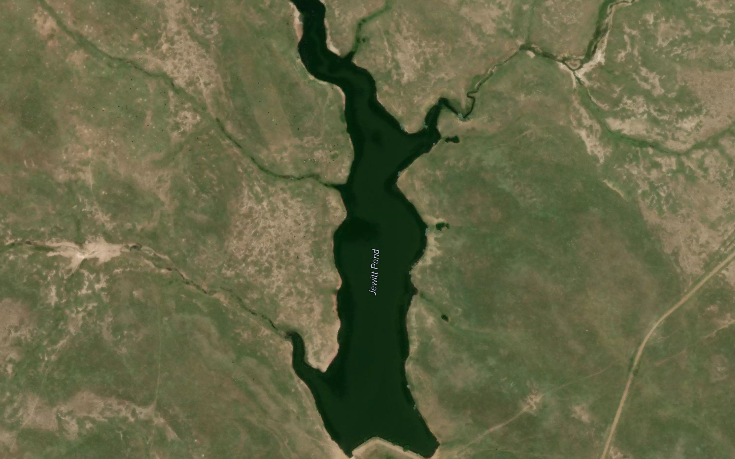 Jewitt Pond