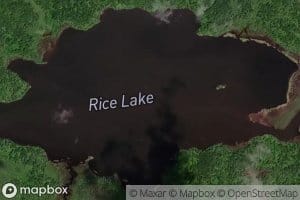 Rice Lake