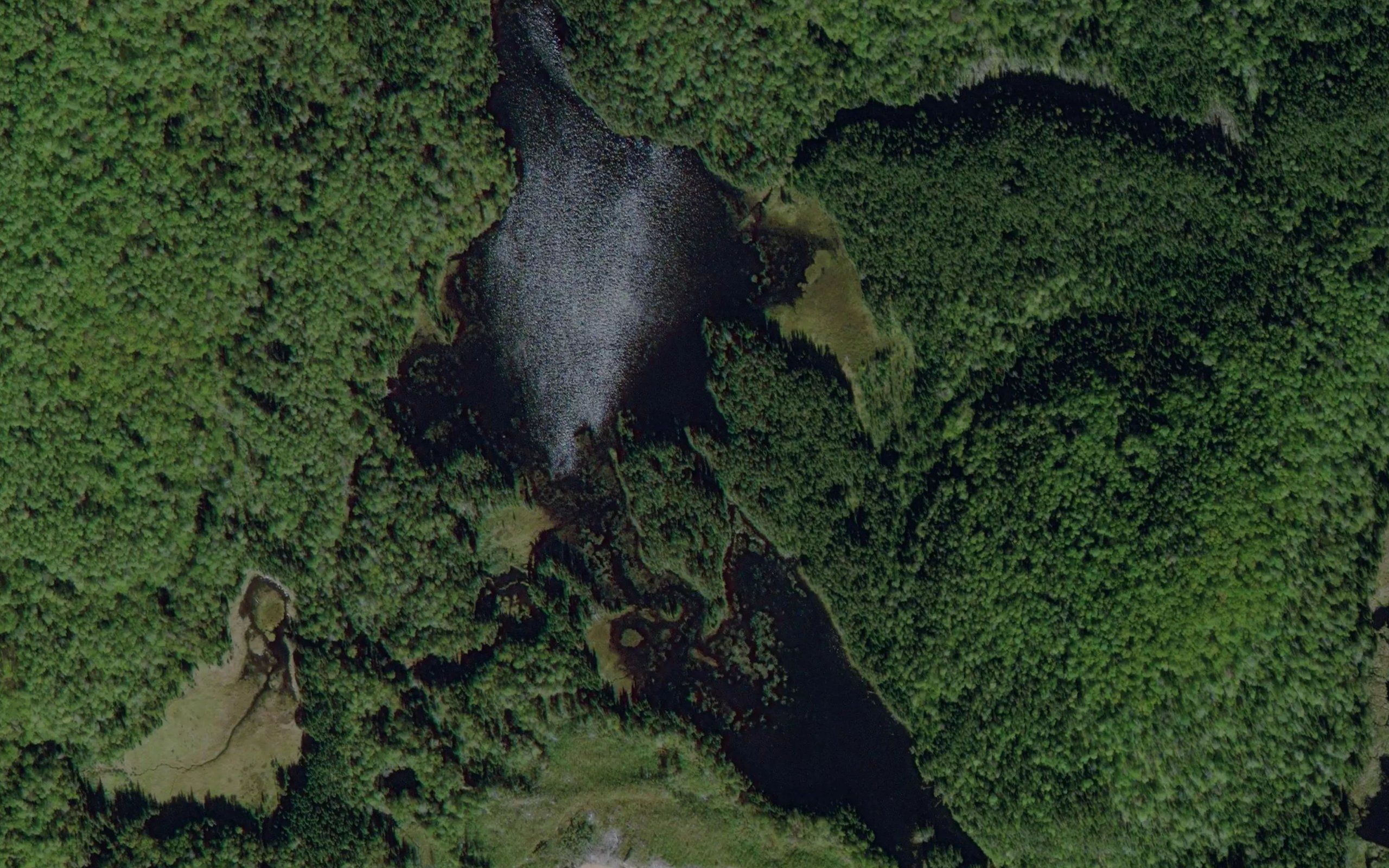 Lac Monique