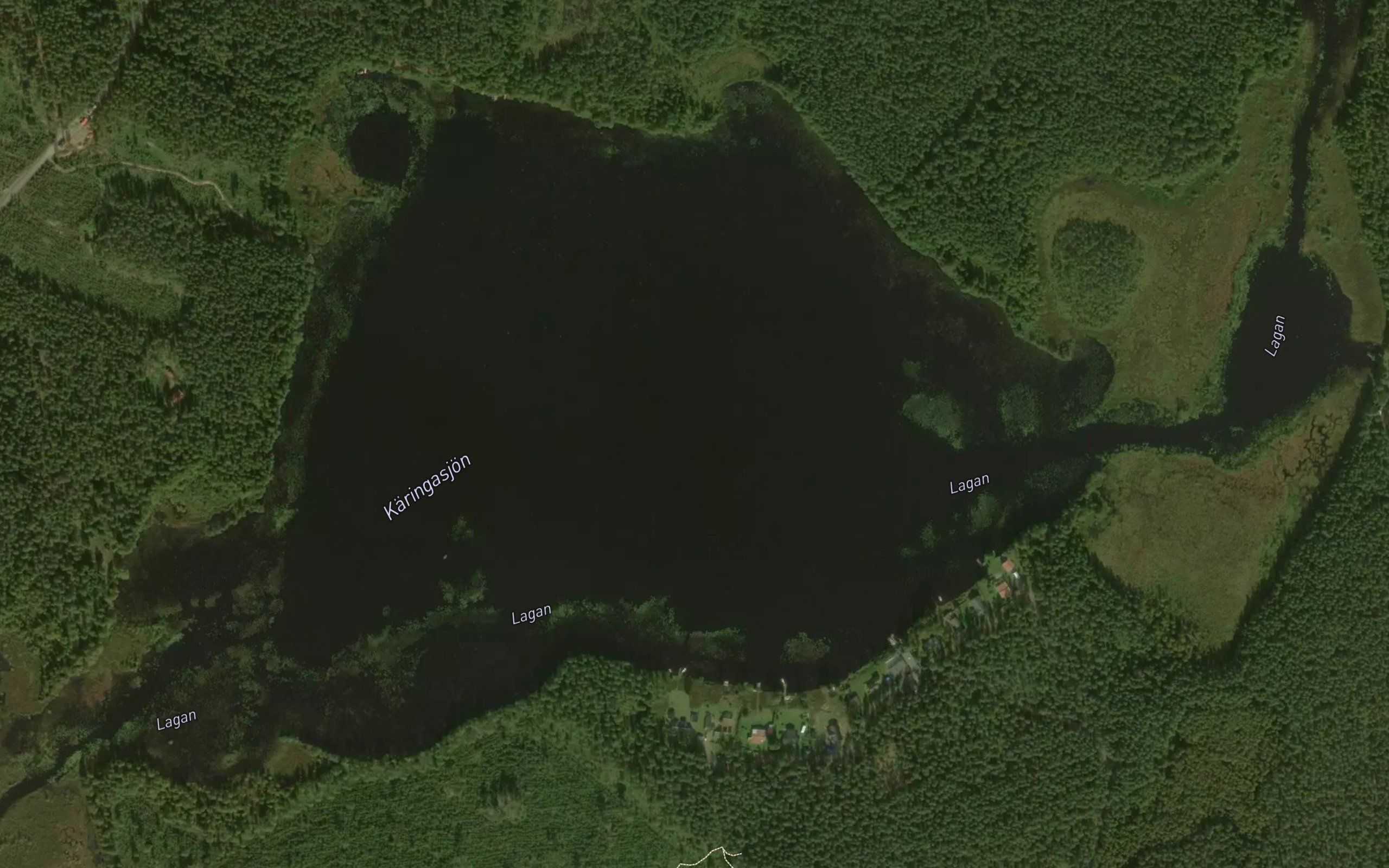 Karingasjon