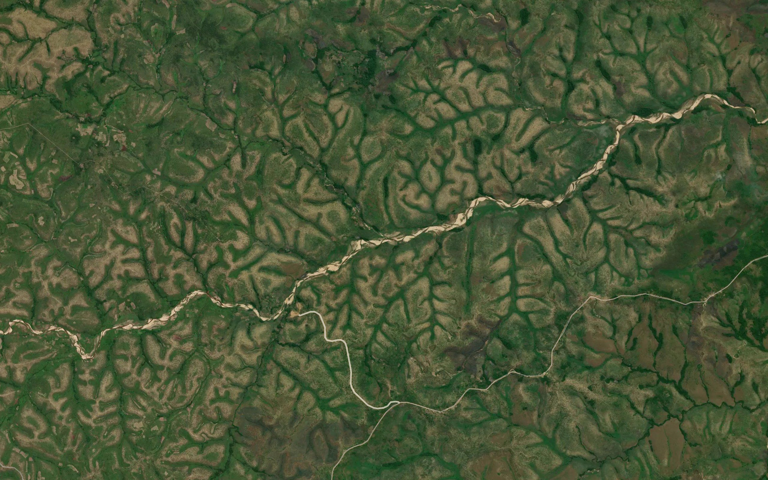 Sequeje