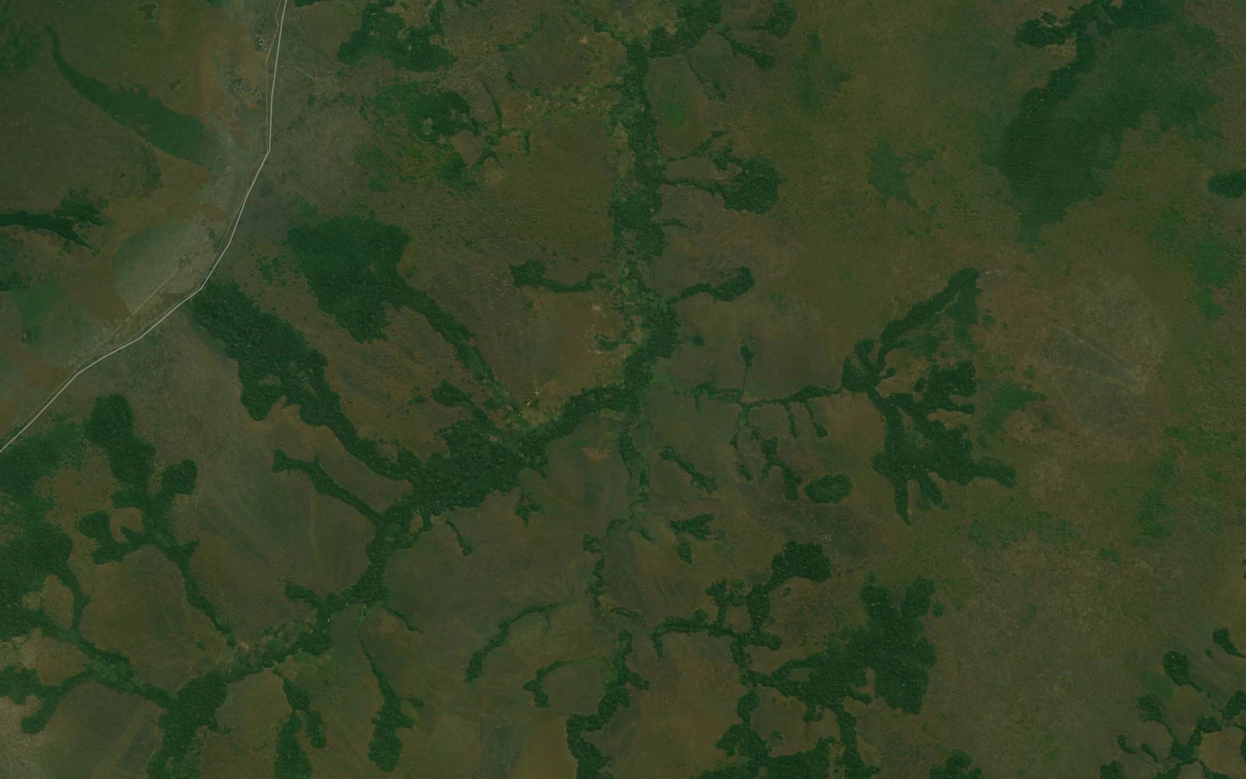 Iwogi