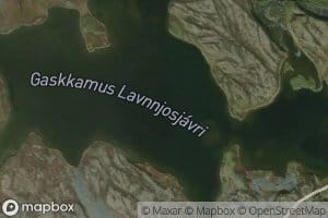 Lavnjusjavri,gaskamus