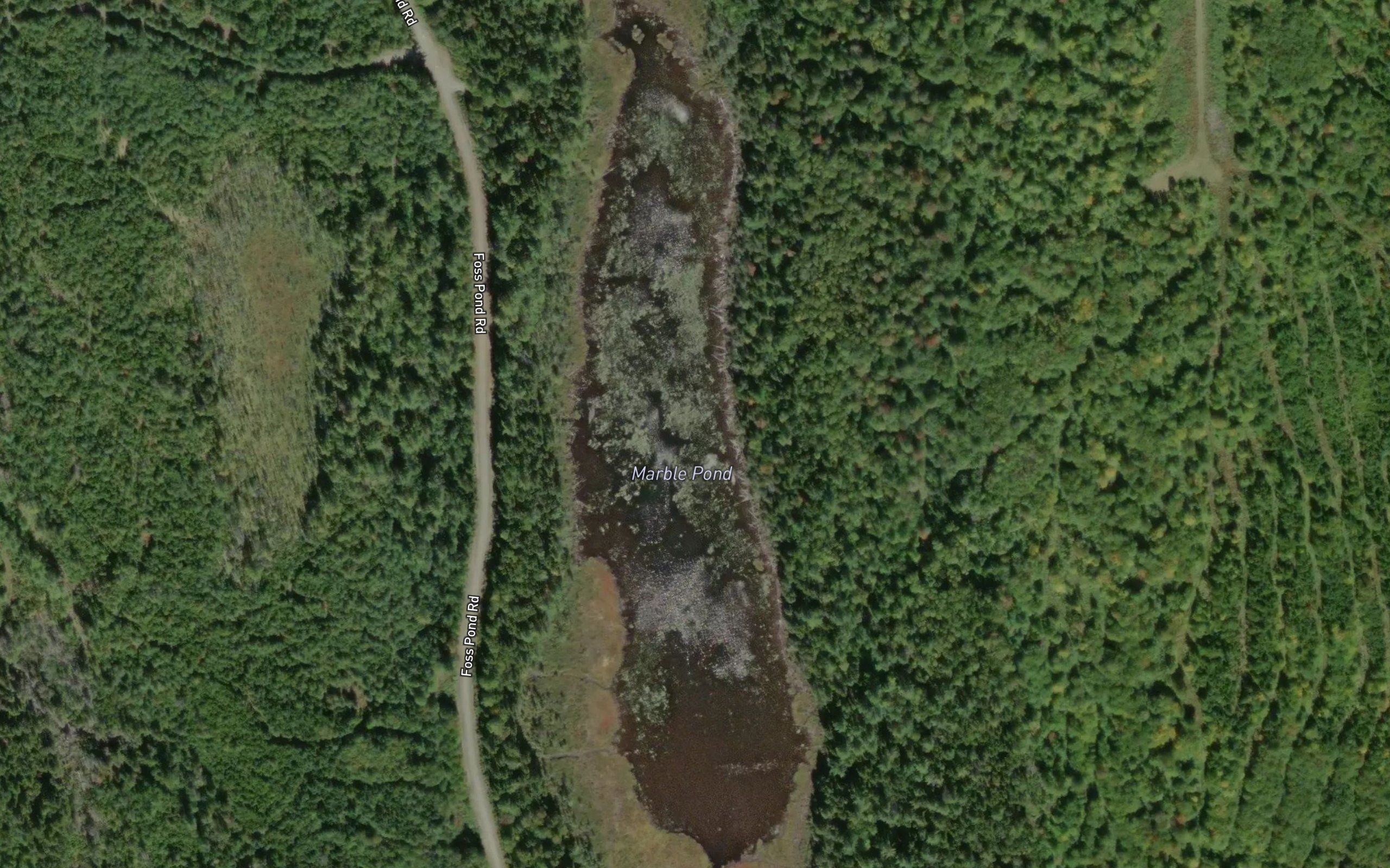 Marble Pond