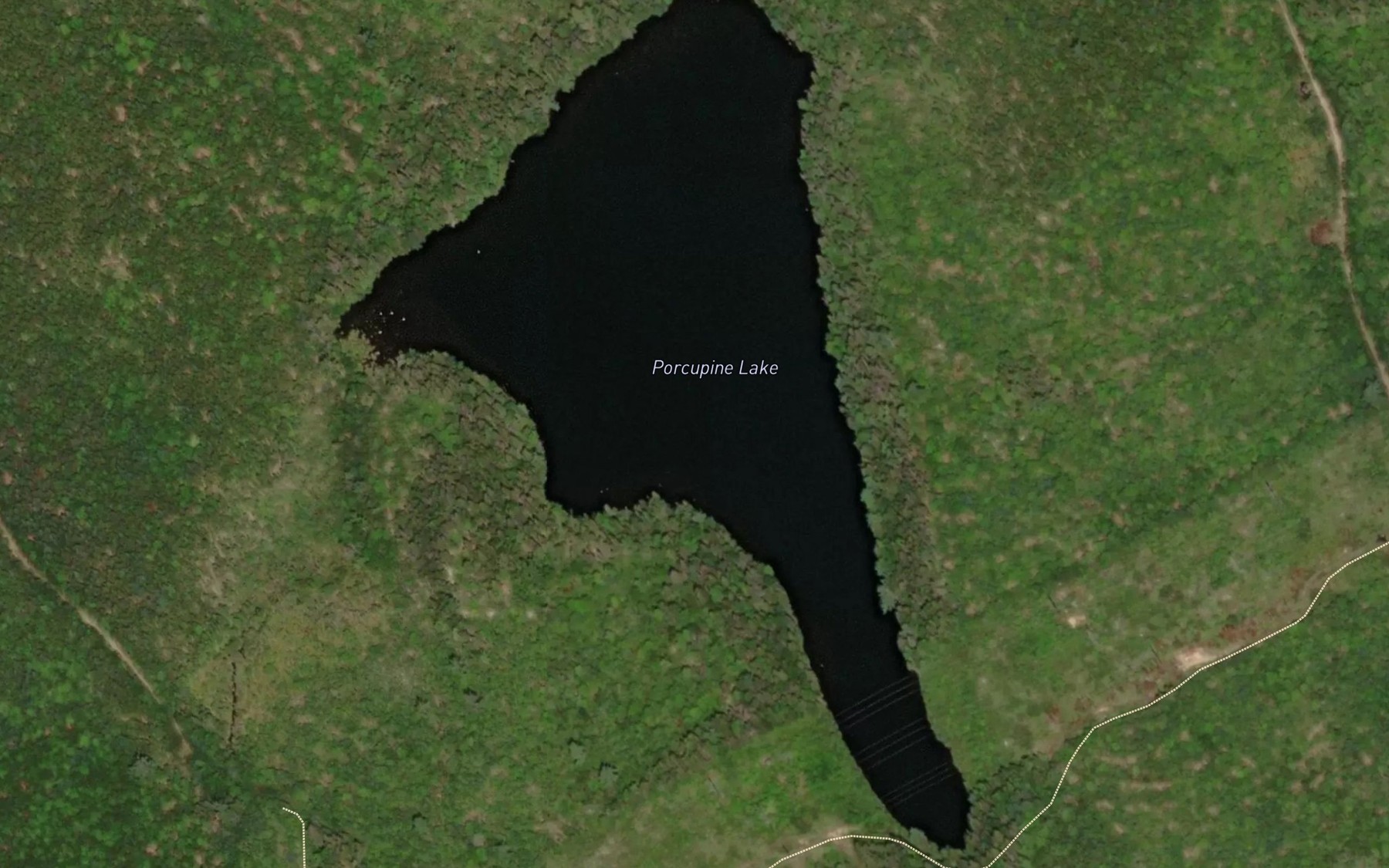 Satellite map of the Porcupine Lake