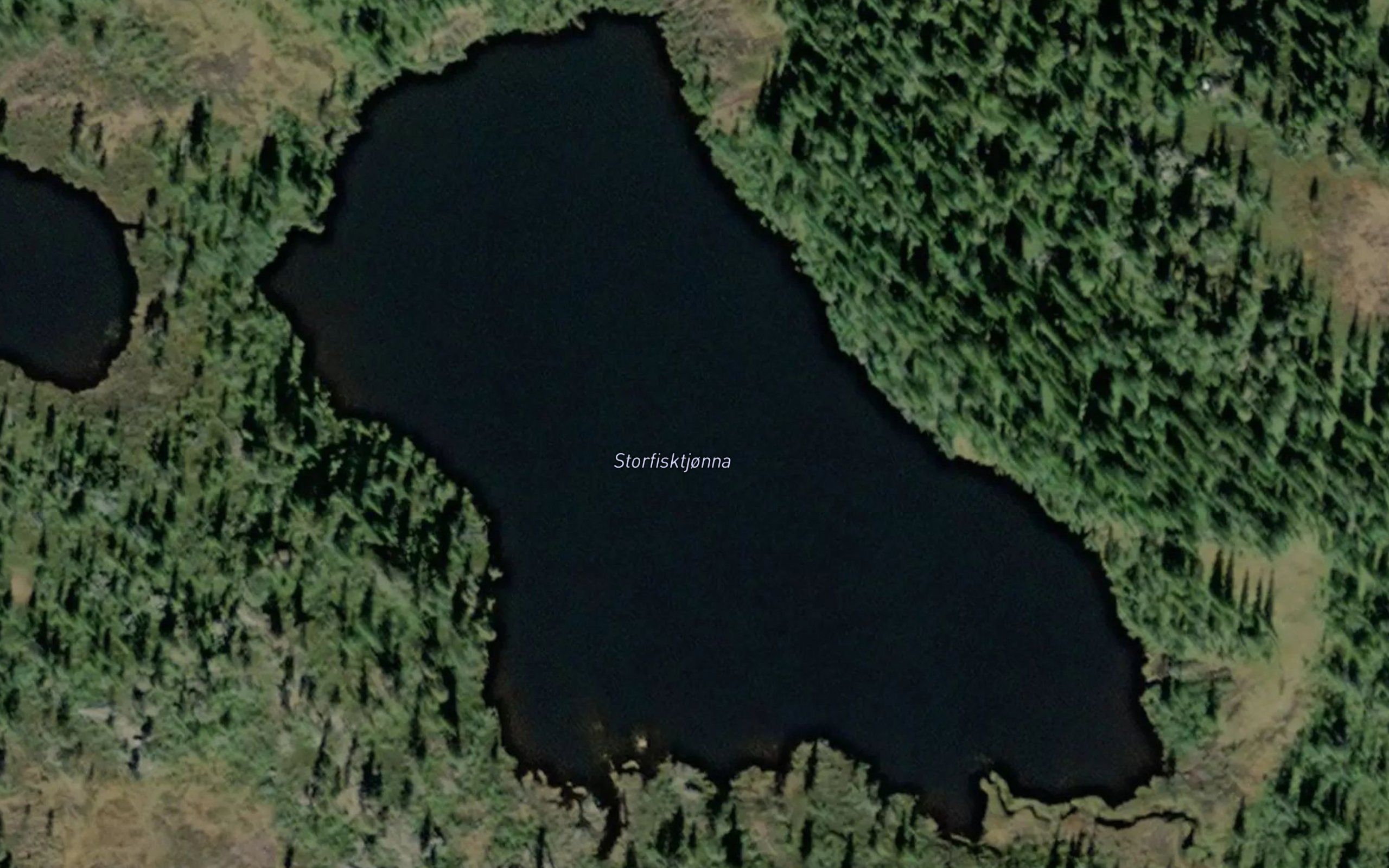 Storfisktjonna