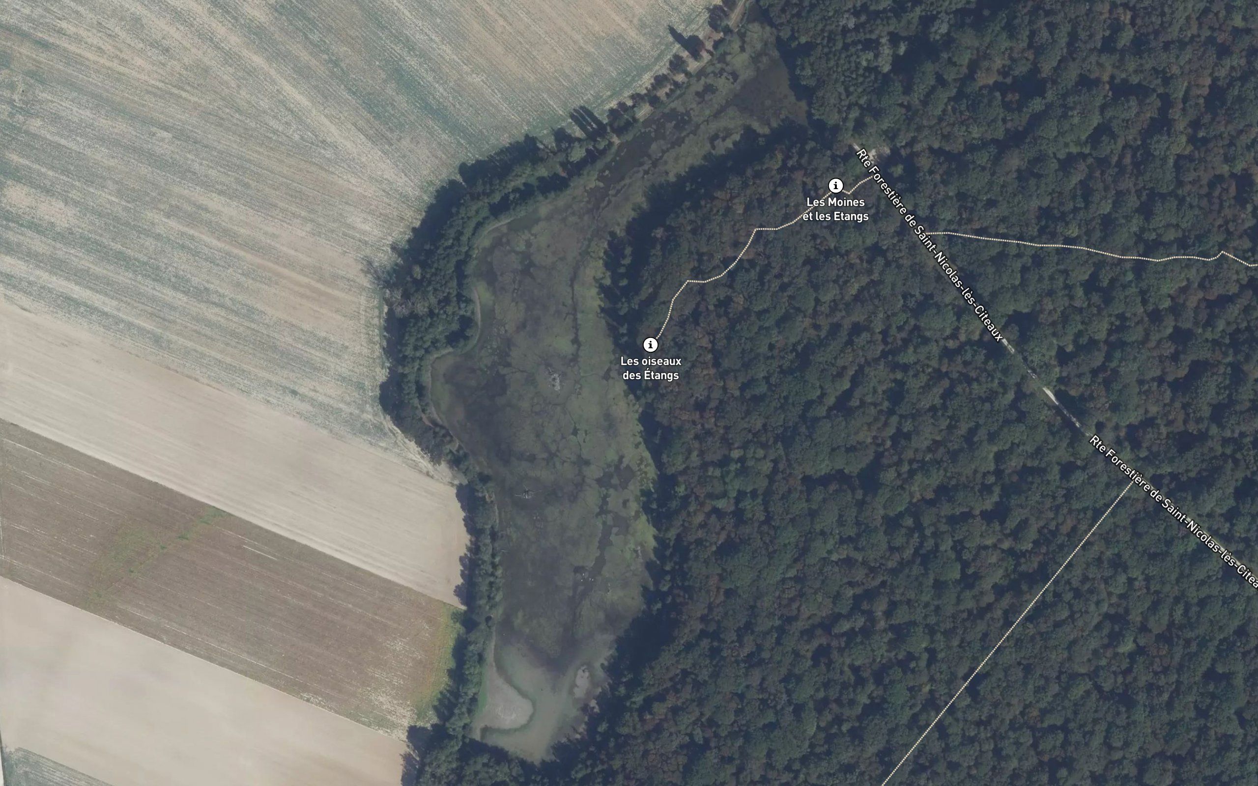 Etang des Fontaines