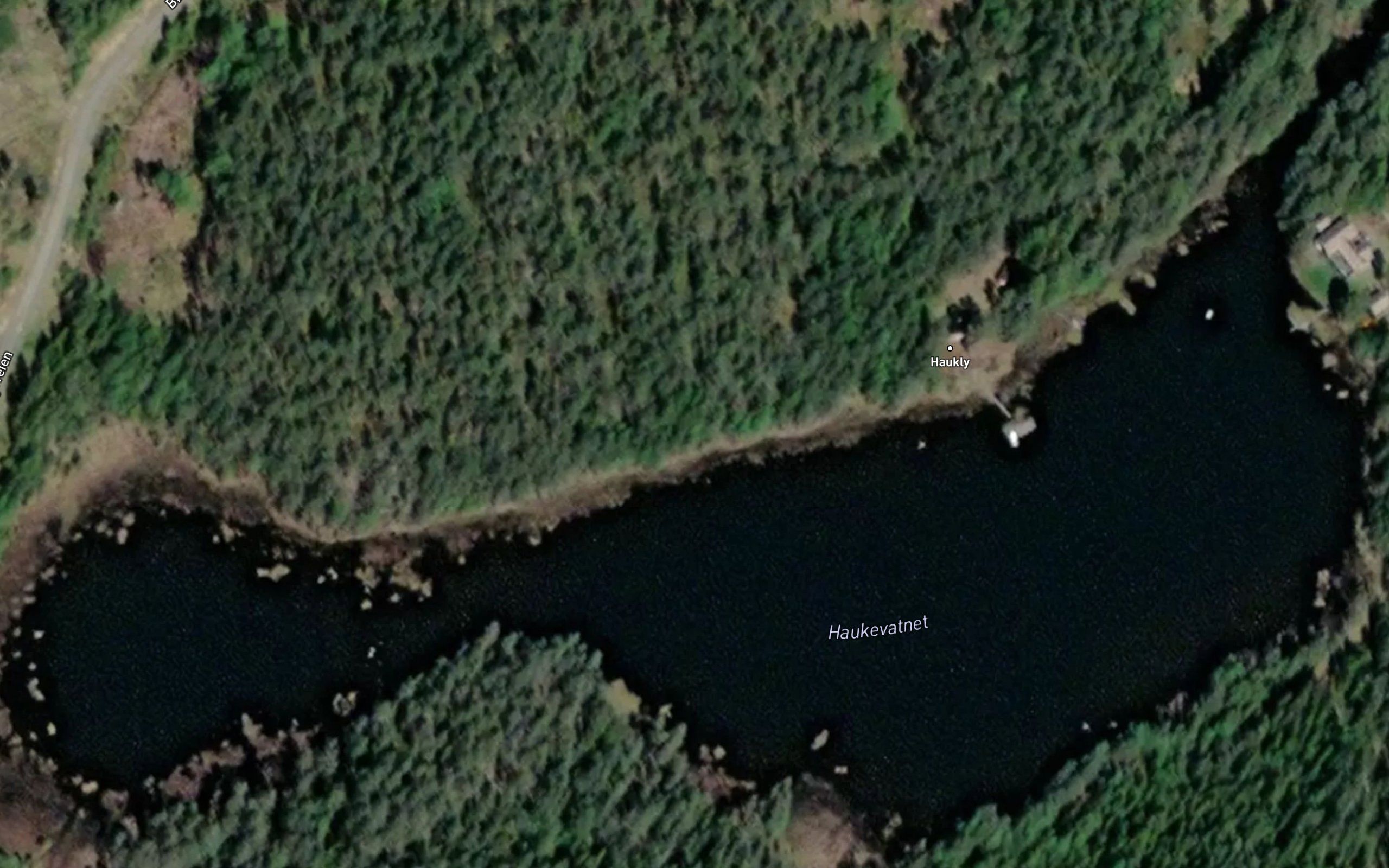 Haukvann