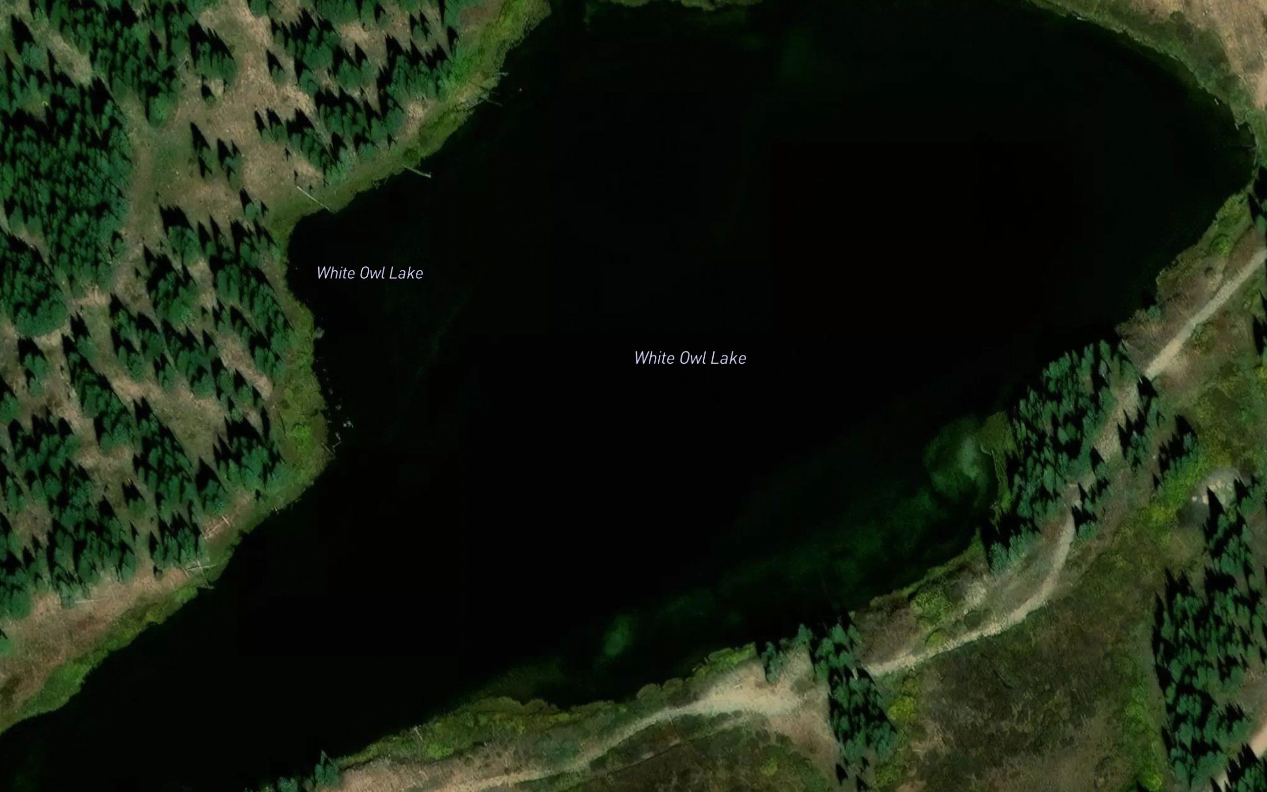 White Owl Lake