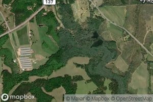 Shoal Creek