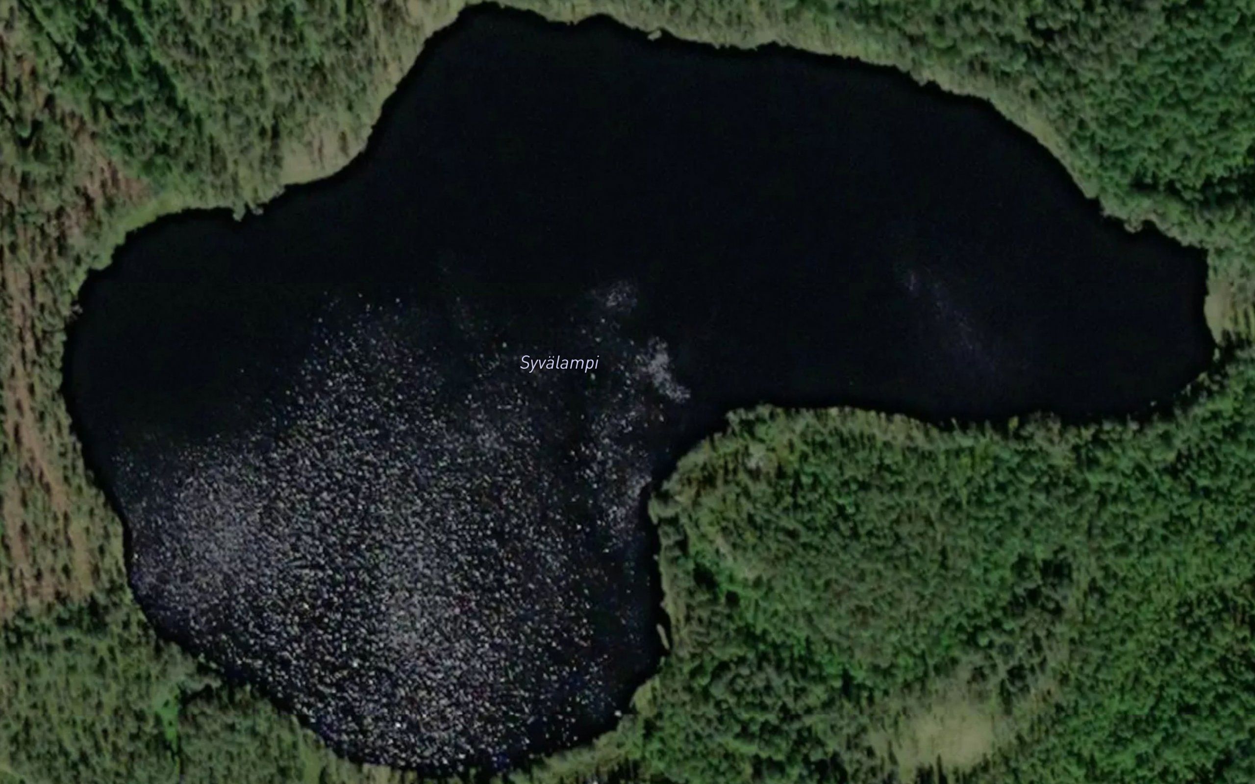 Syvalampi