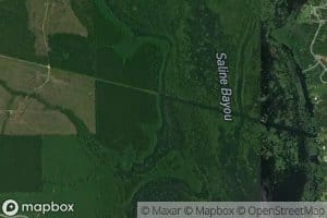 Saline Lake