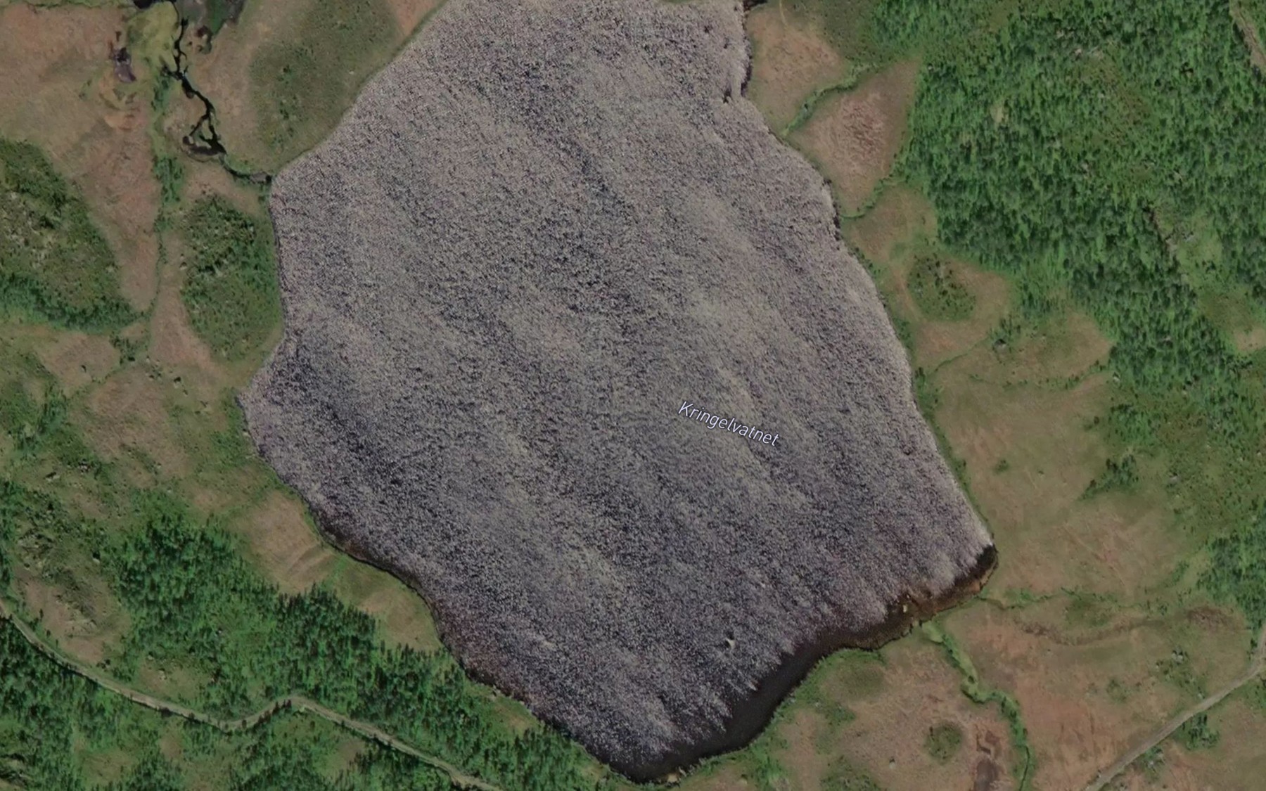 Satellite map of the Krengelvatnet