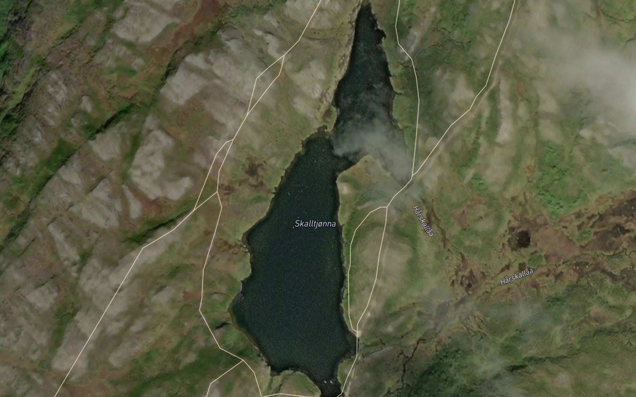 Skalltjorna