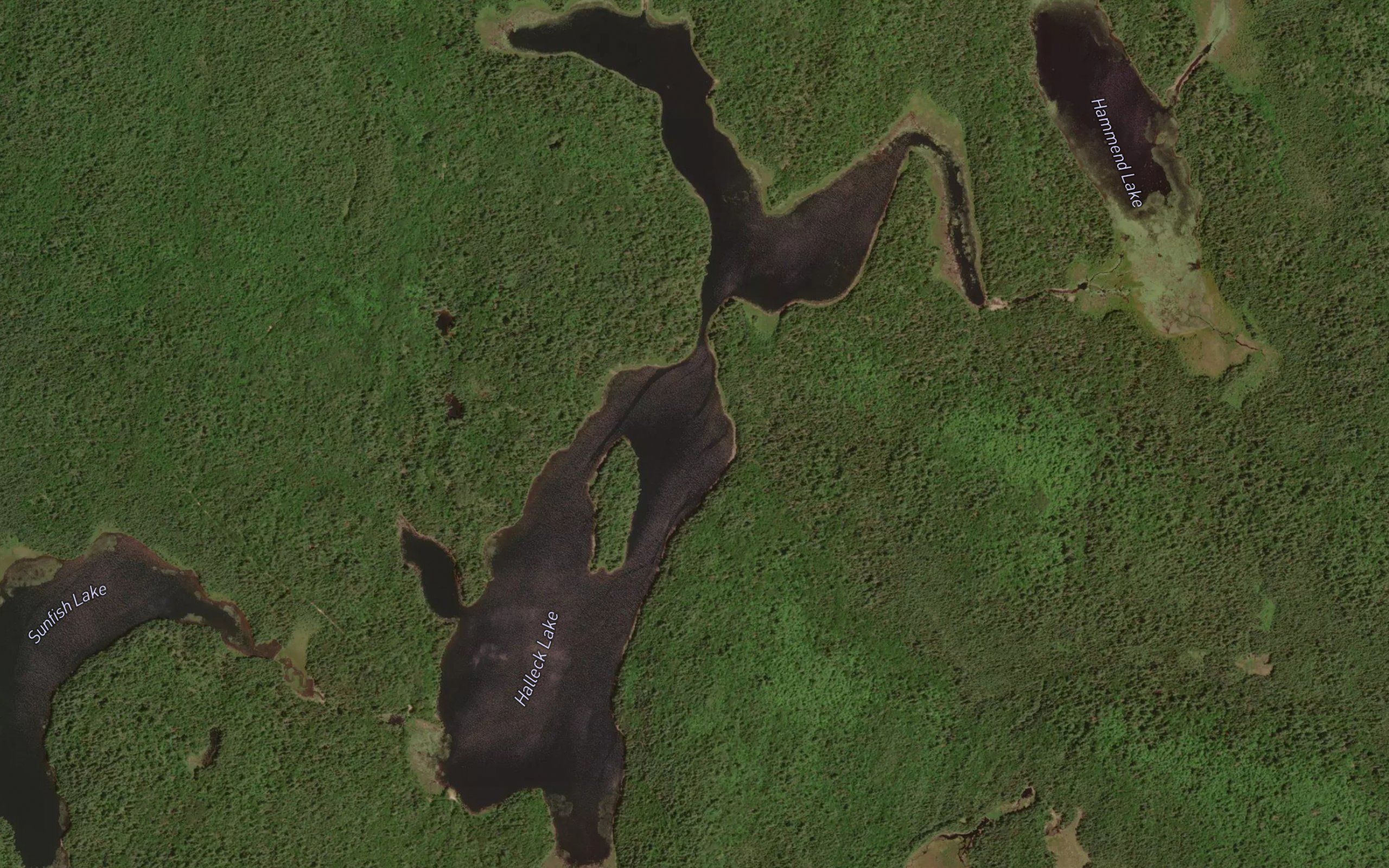 Halleck Lake