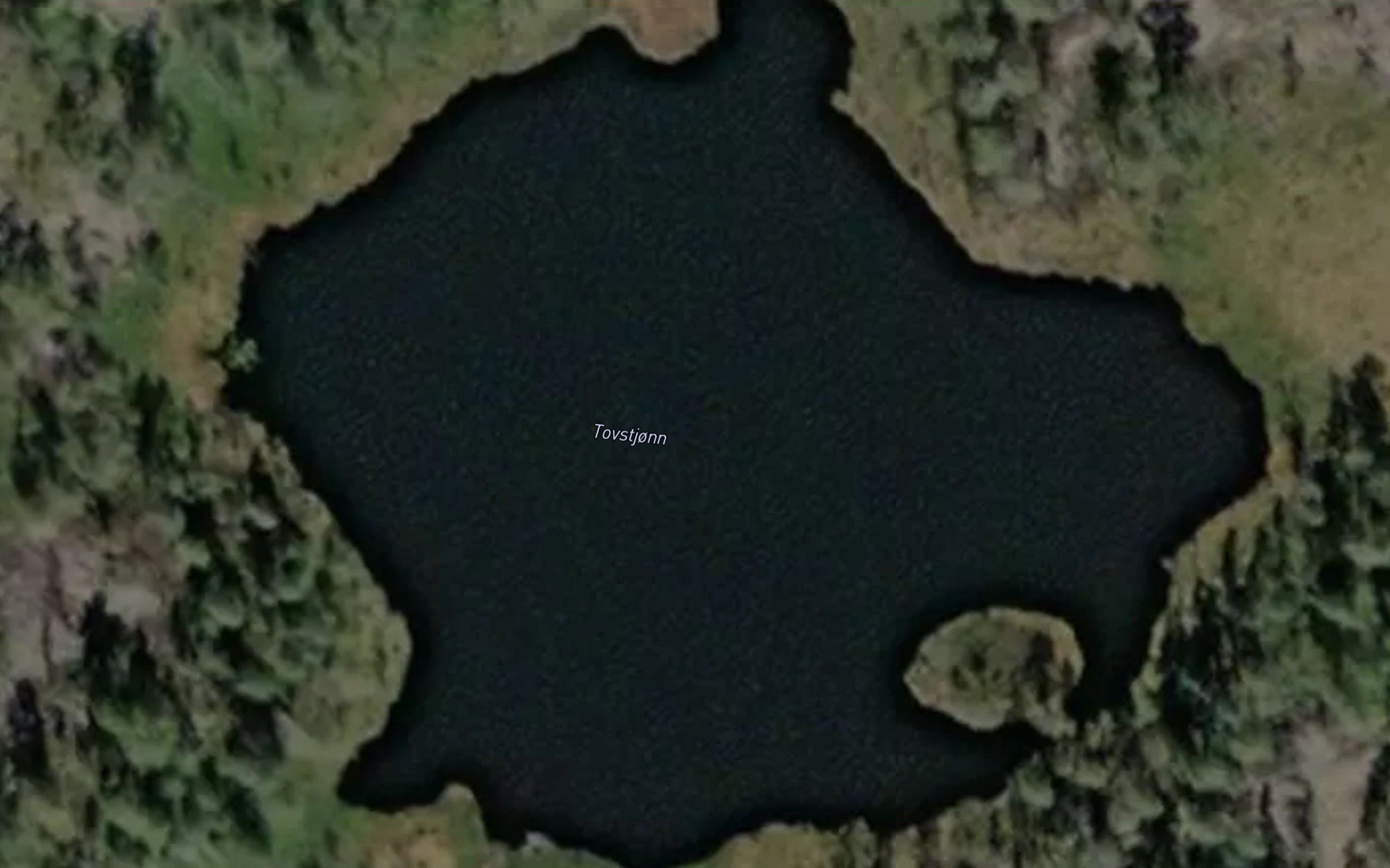 Tovstjorn