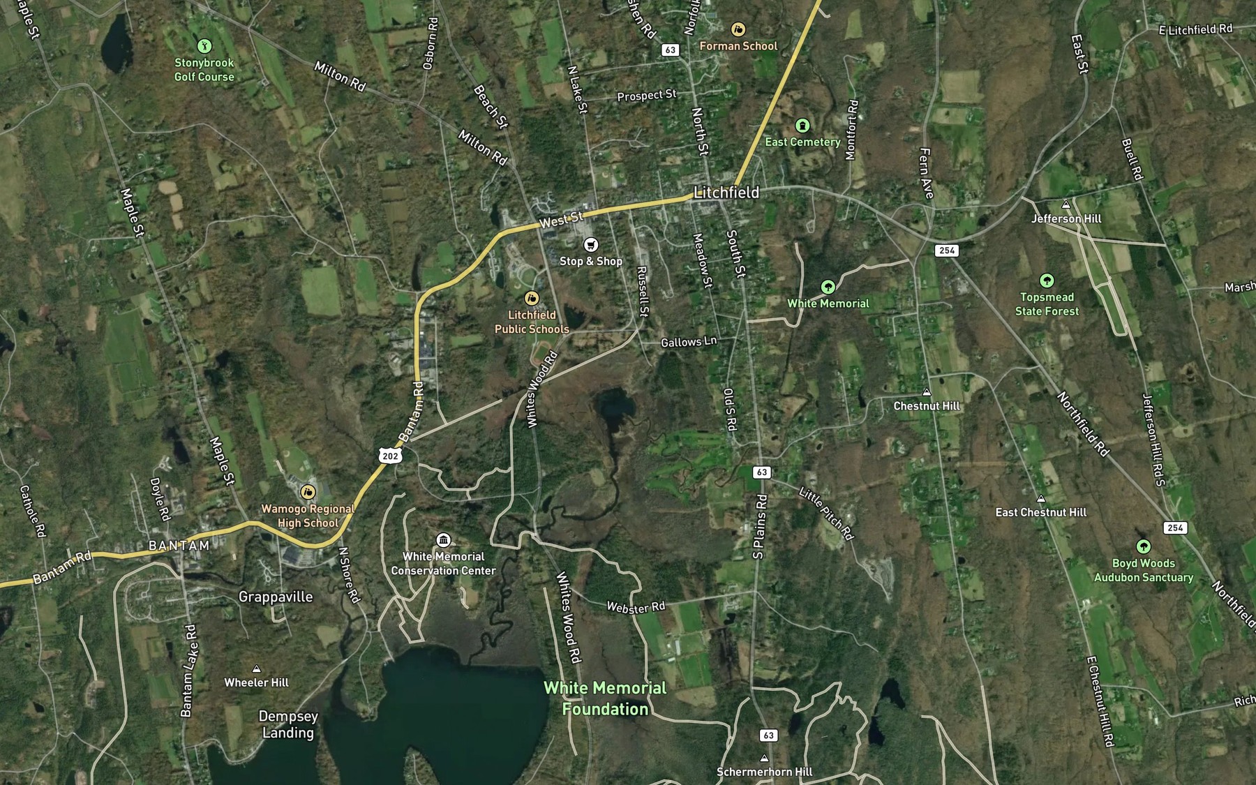 Satellite map of the Tannery Brook