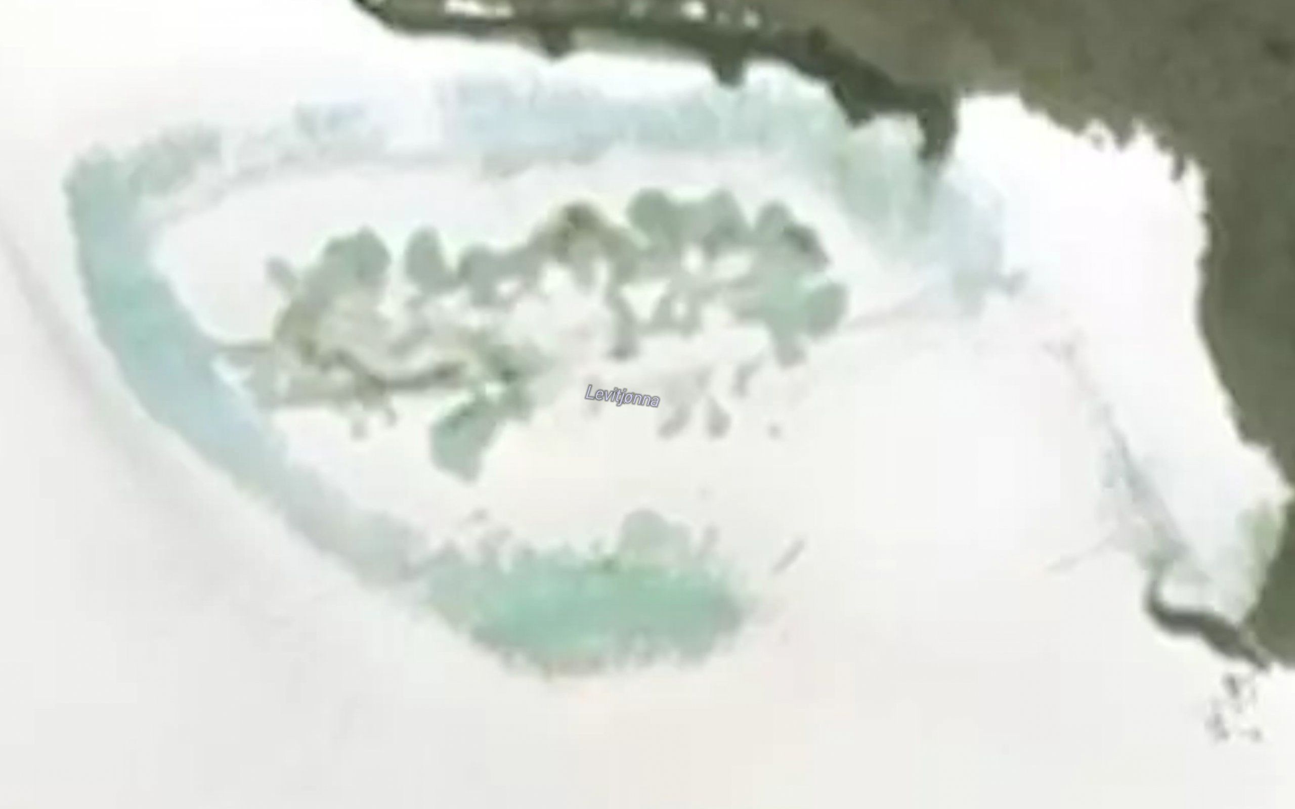 Klubbtjorna
