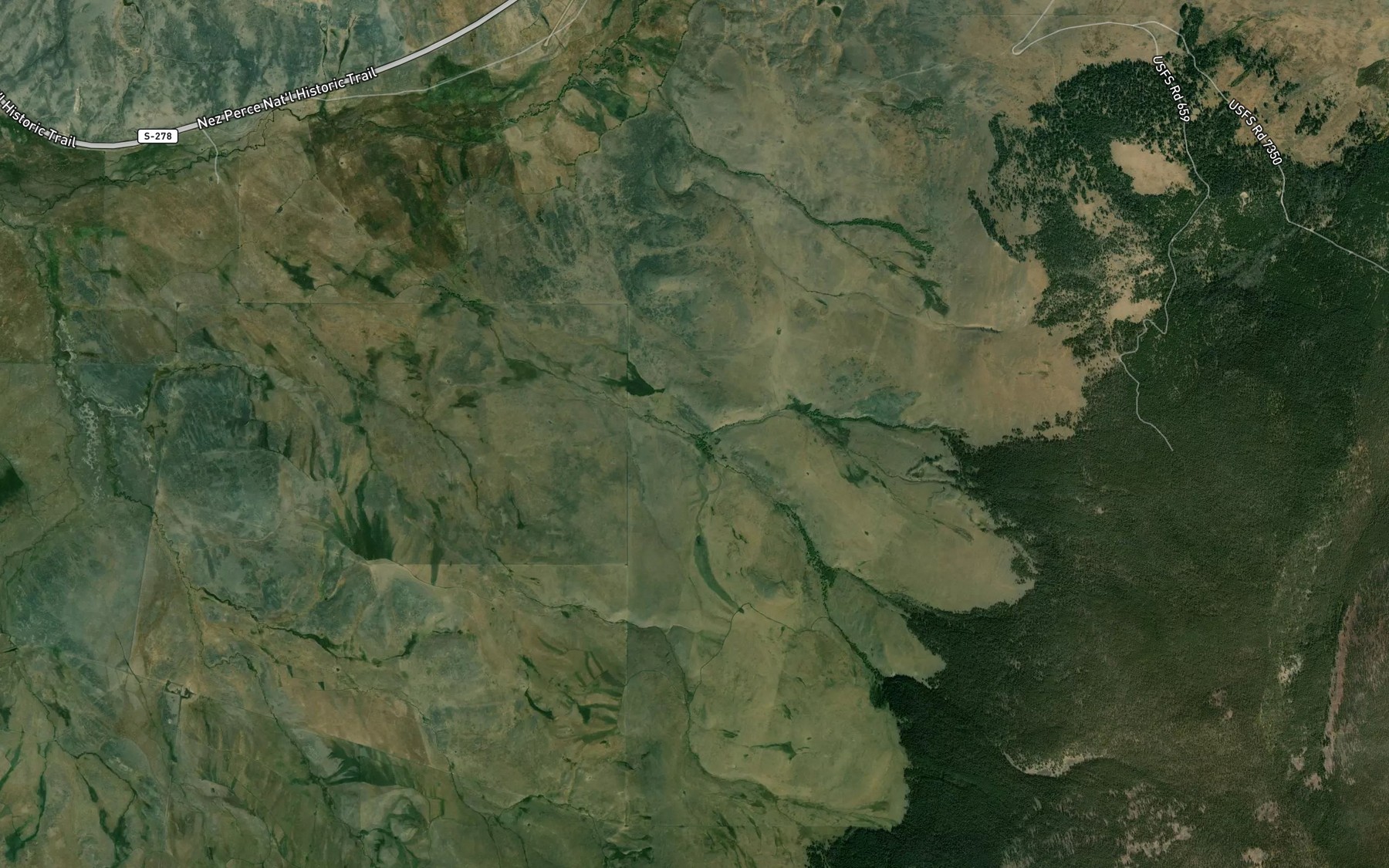 Satellite map of the North Fork Cow Cabin Creek