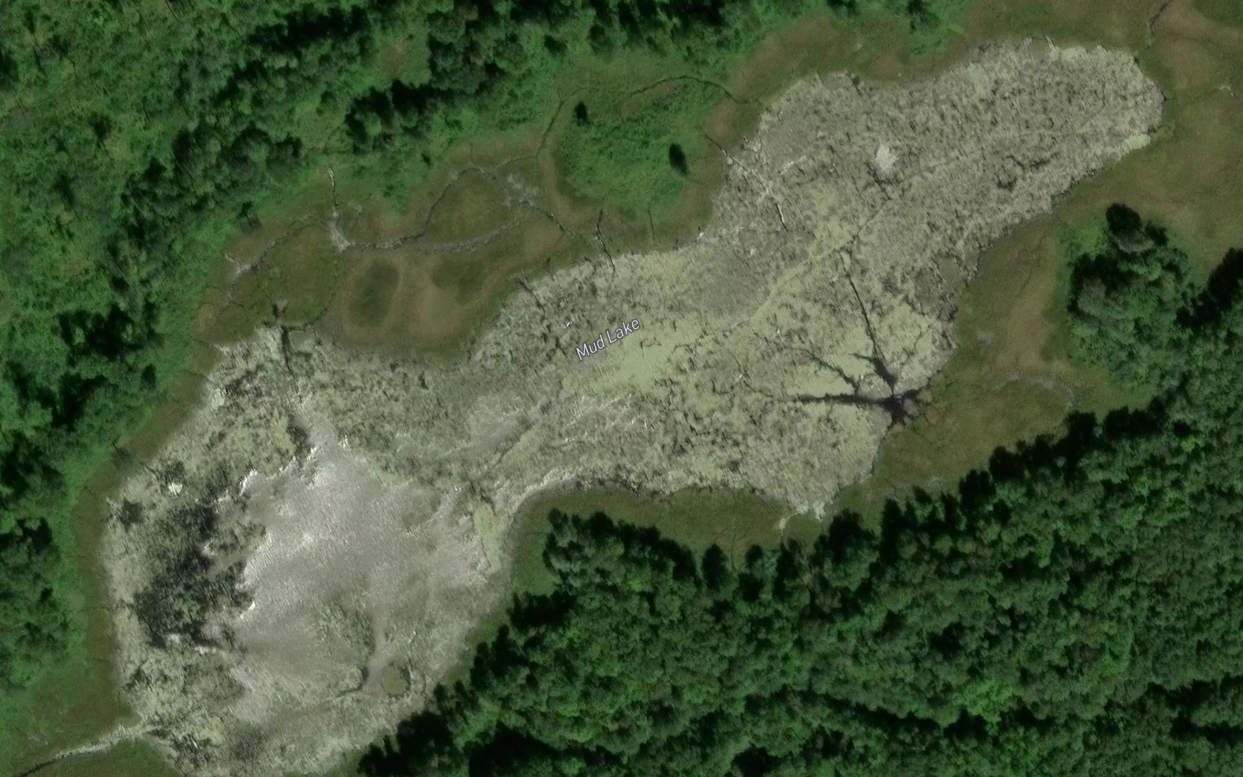 Mud Lake