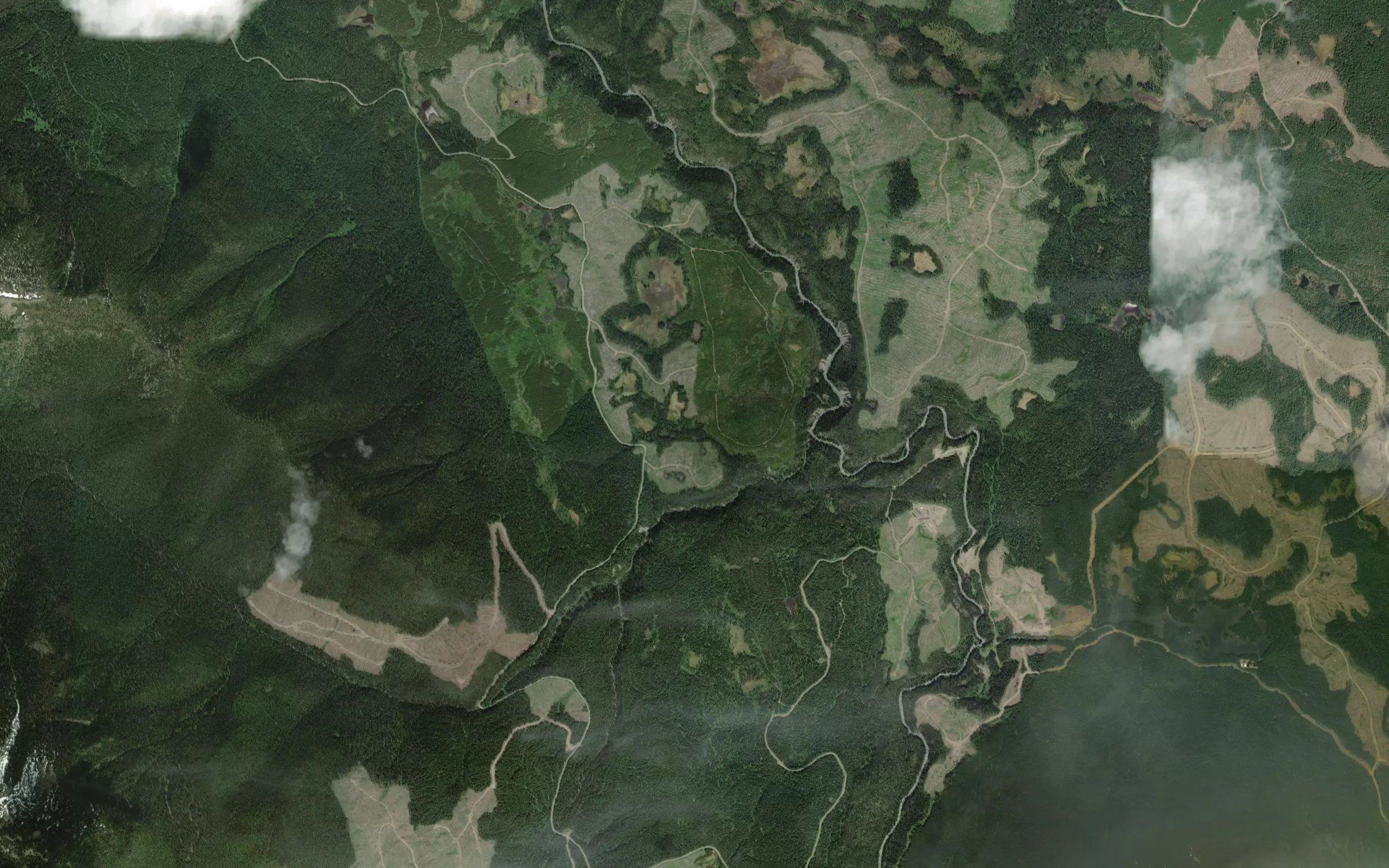 Murray Creek