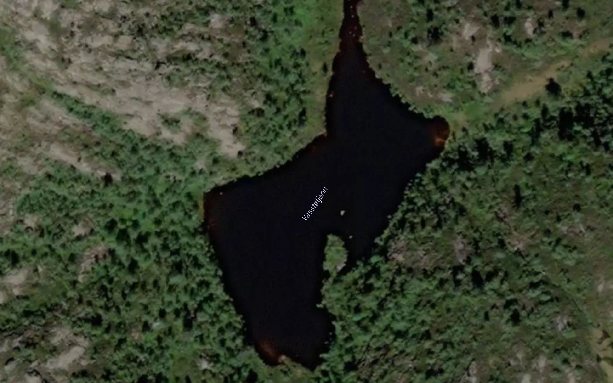 Vasstotjonn