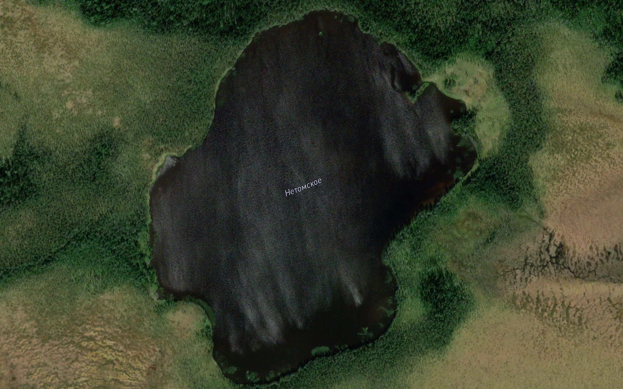Ozero Netomskoye