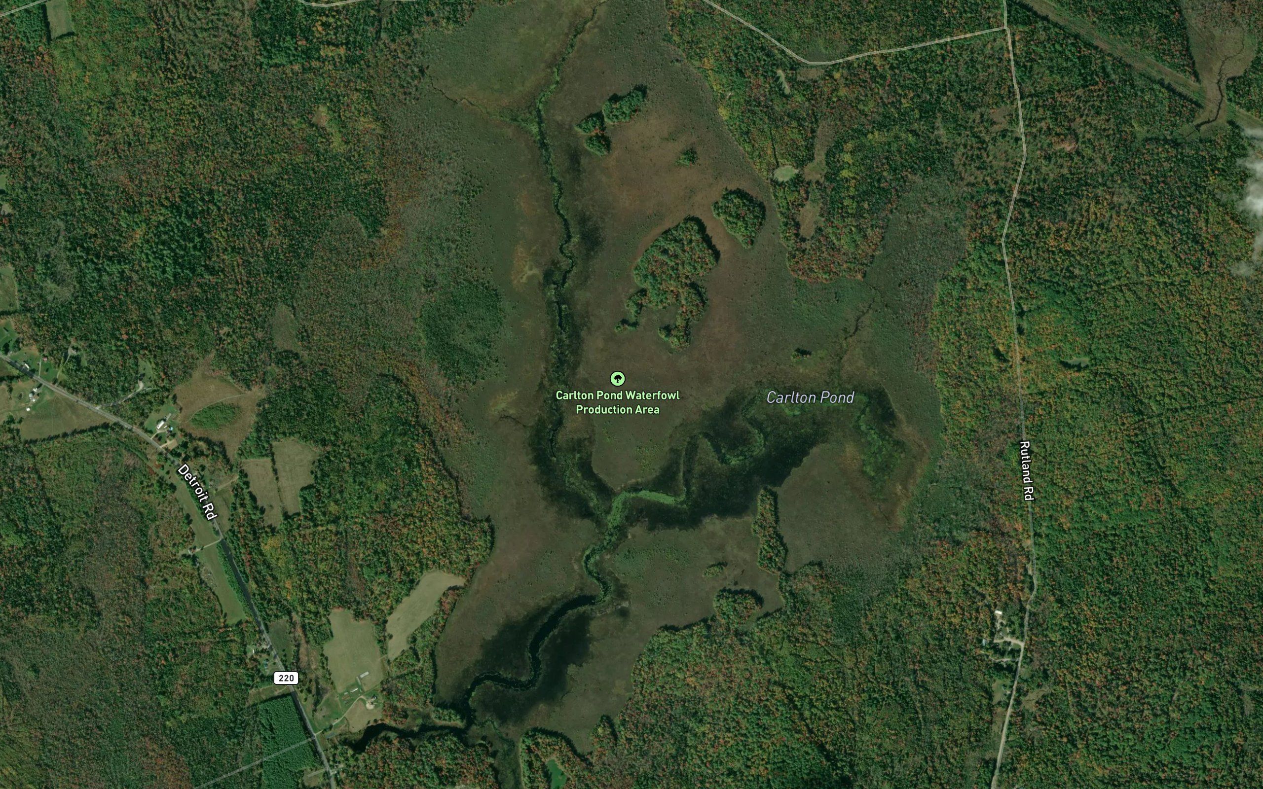 Carlton Pond