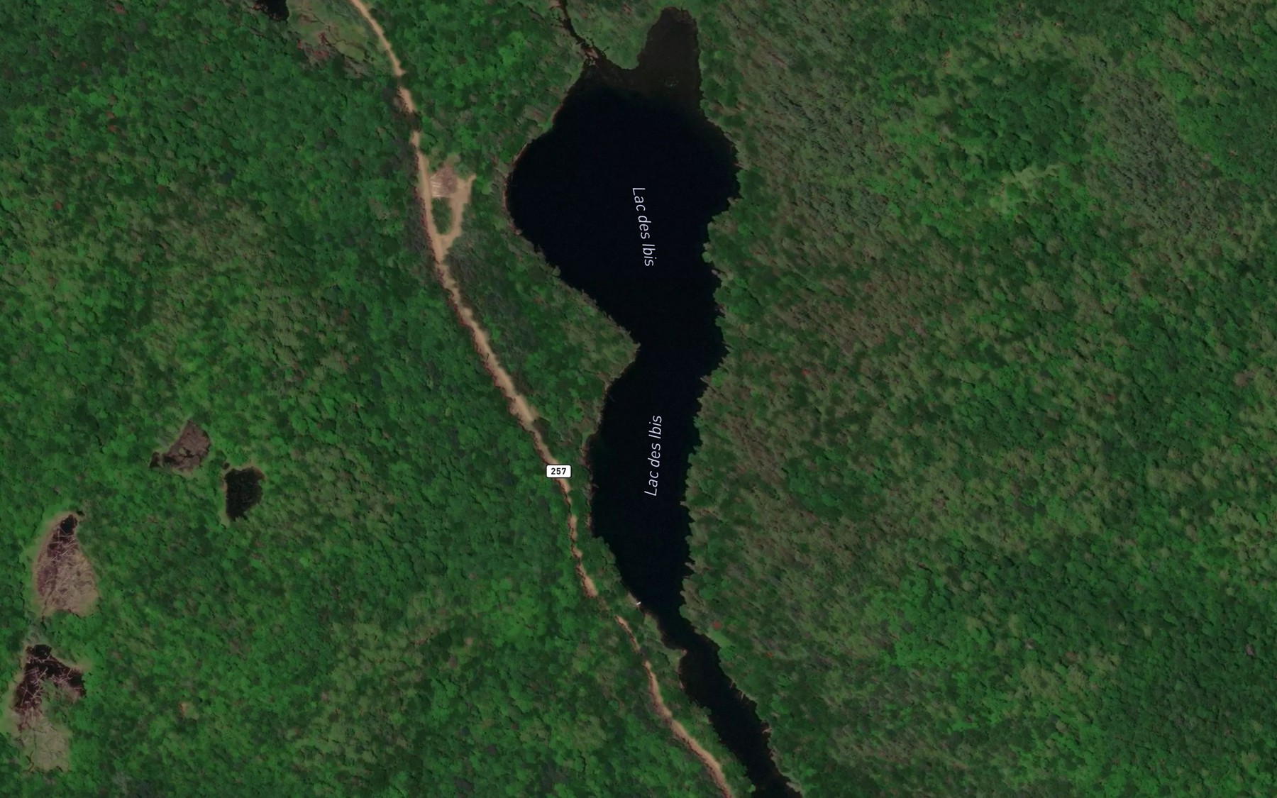 Satellite map of the Lac des Ibis
