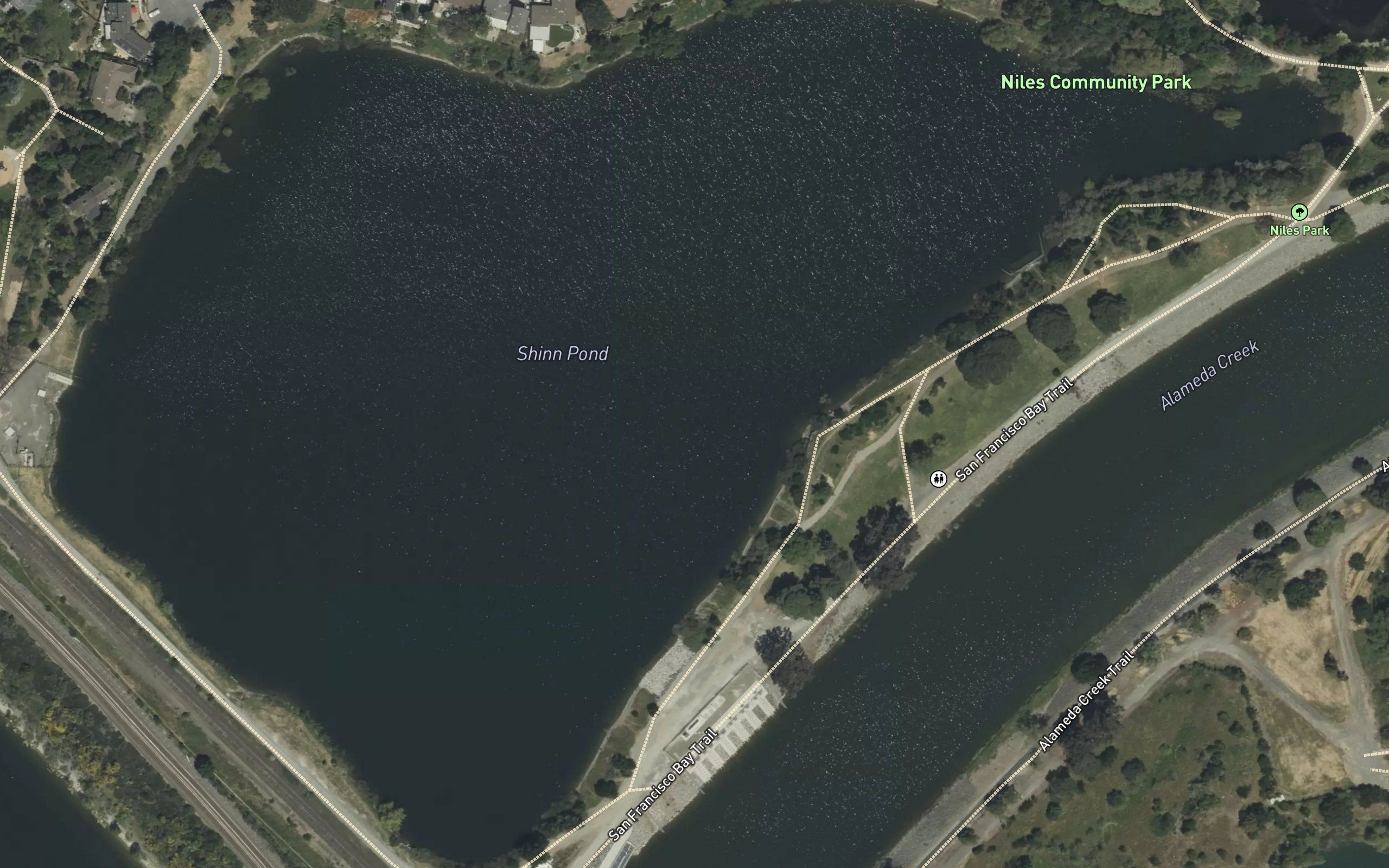 Shinn Pond