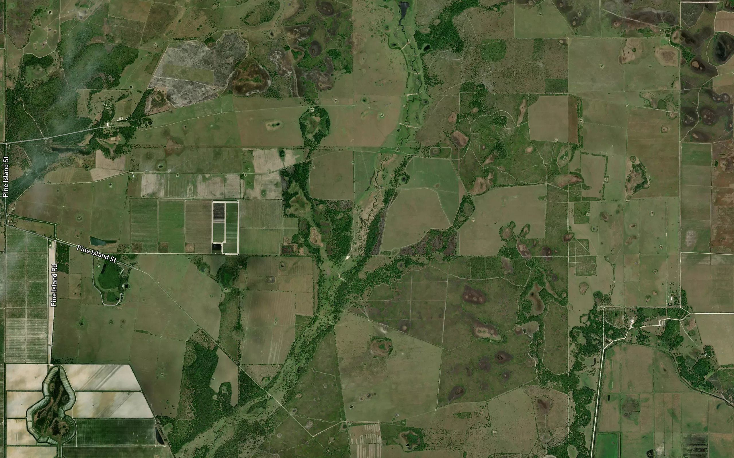 Tiger Bay Slough
