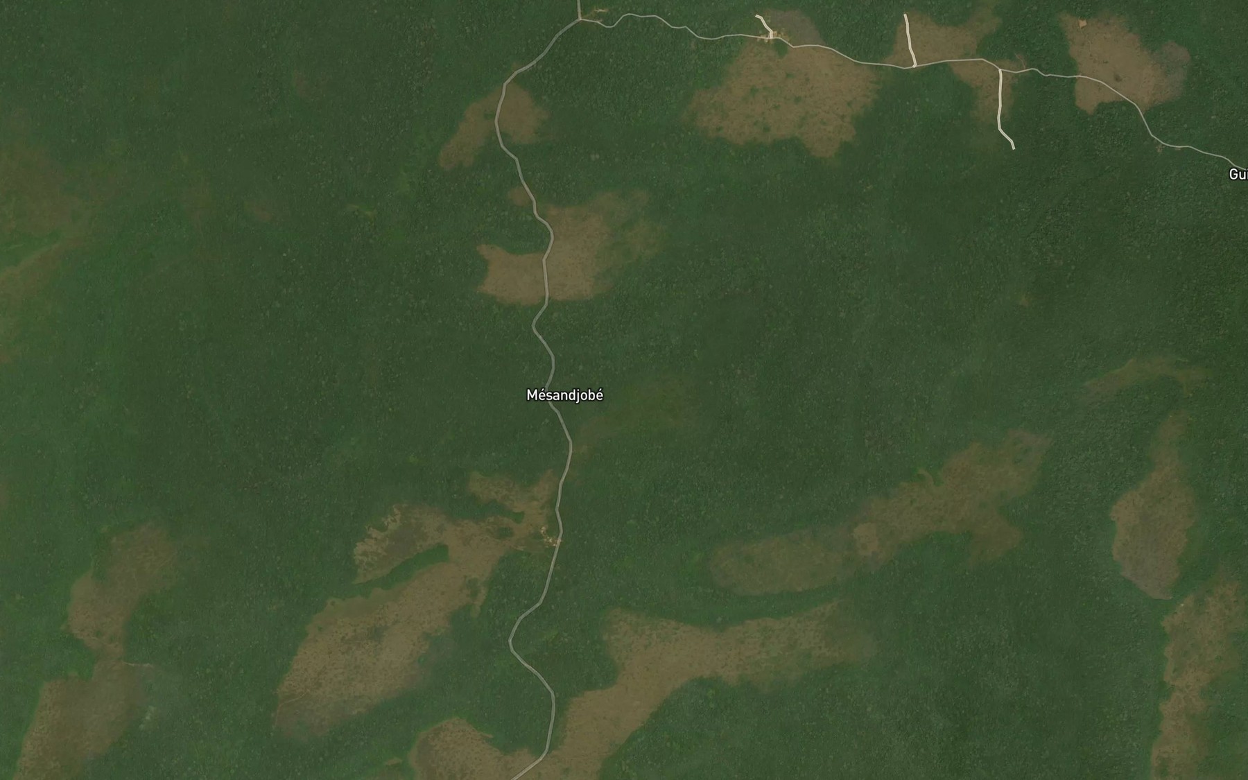 Satellite map of the Dekbe