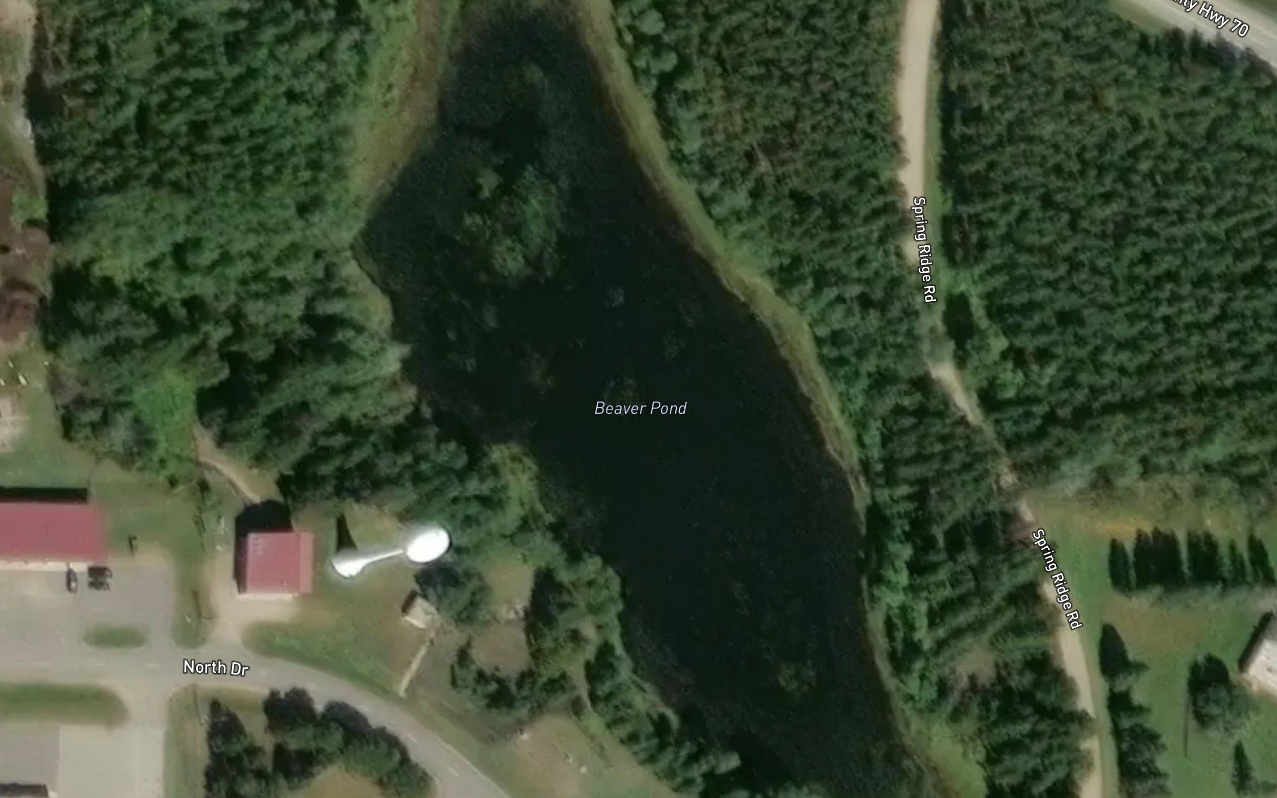 Beaver Pond