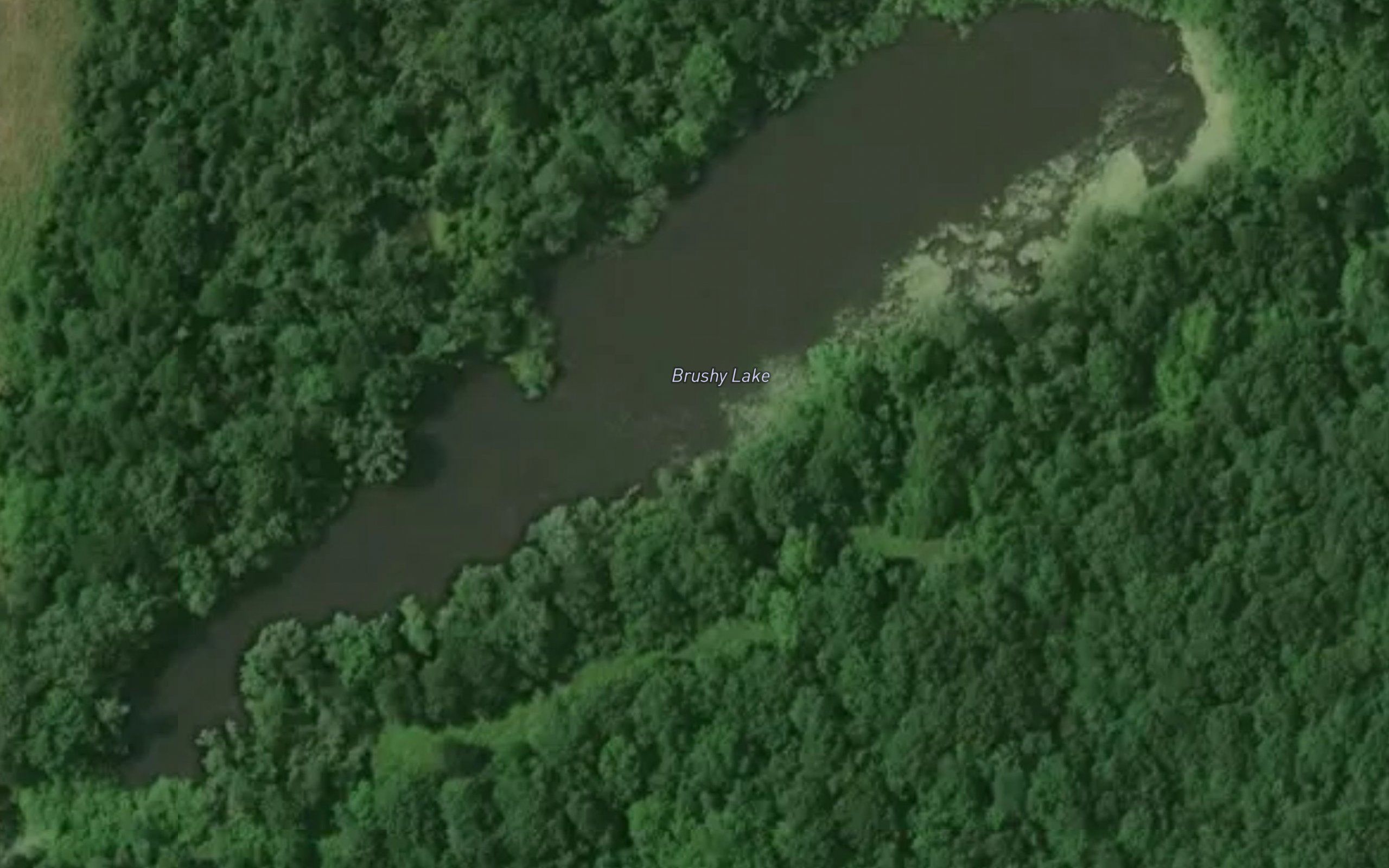 Brushy Lake