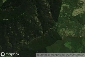 Mangaoai Stream