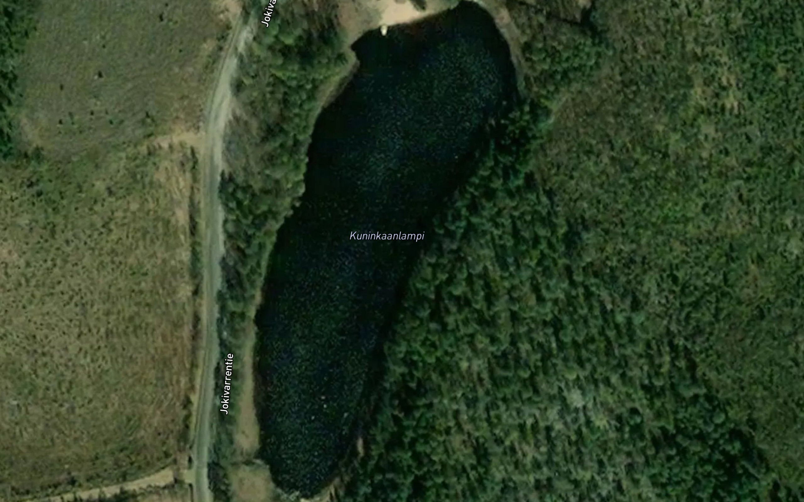 Kuninkaanlampi